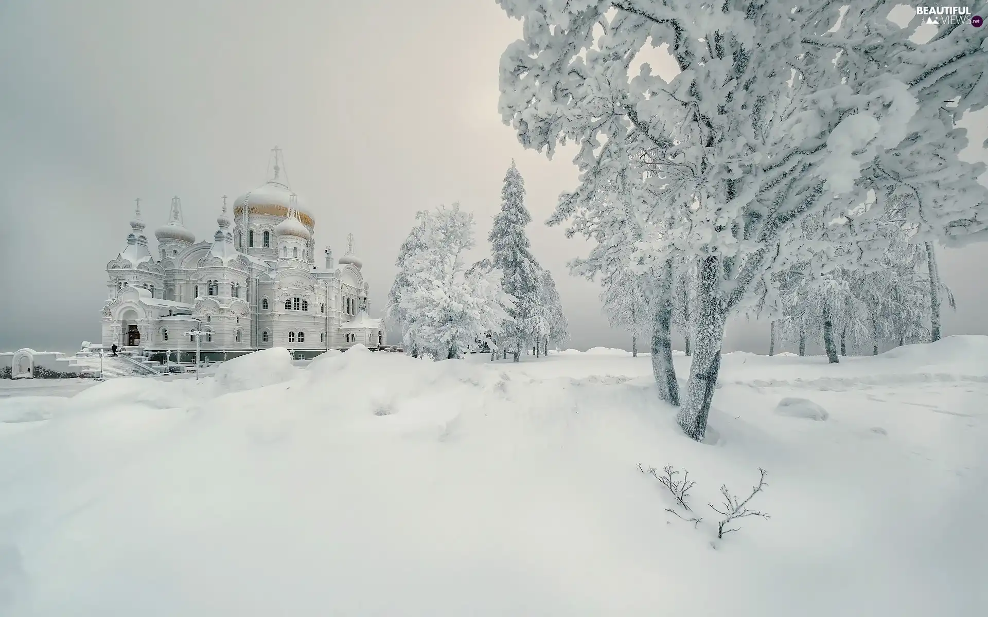 viewes, Cerkiew, snow, trees, winter