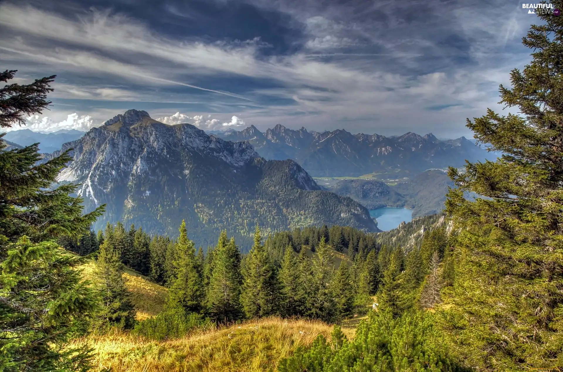 Alps, forest, clouds, lake