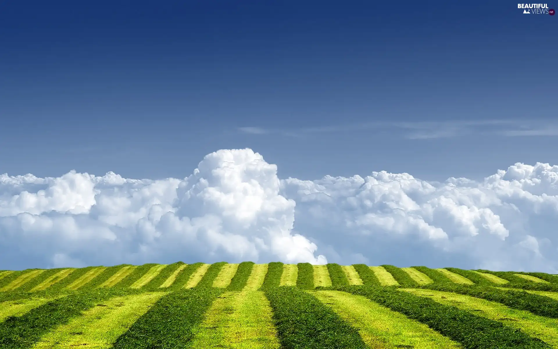 clouds, Field, Cumulus