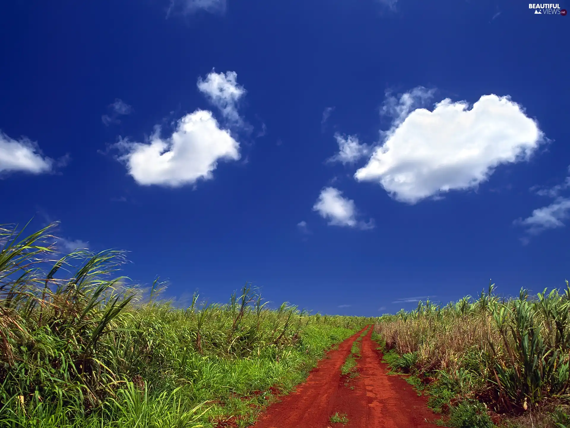 clouds, Way, Field