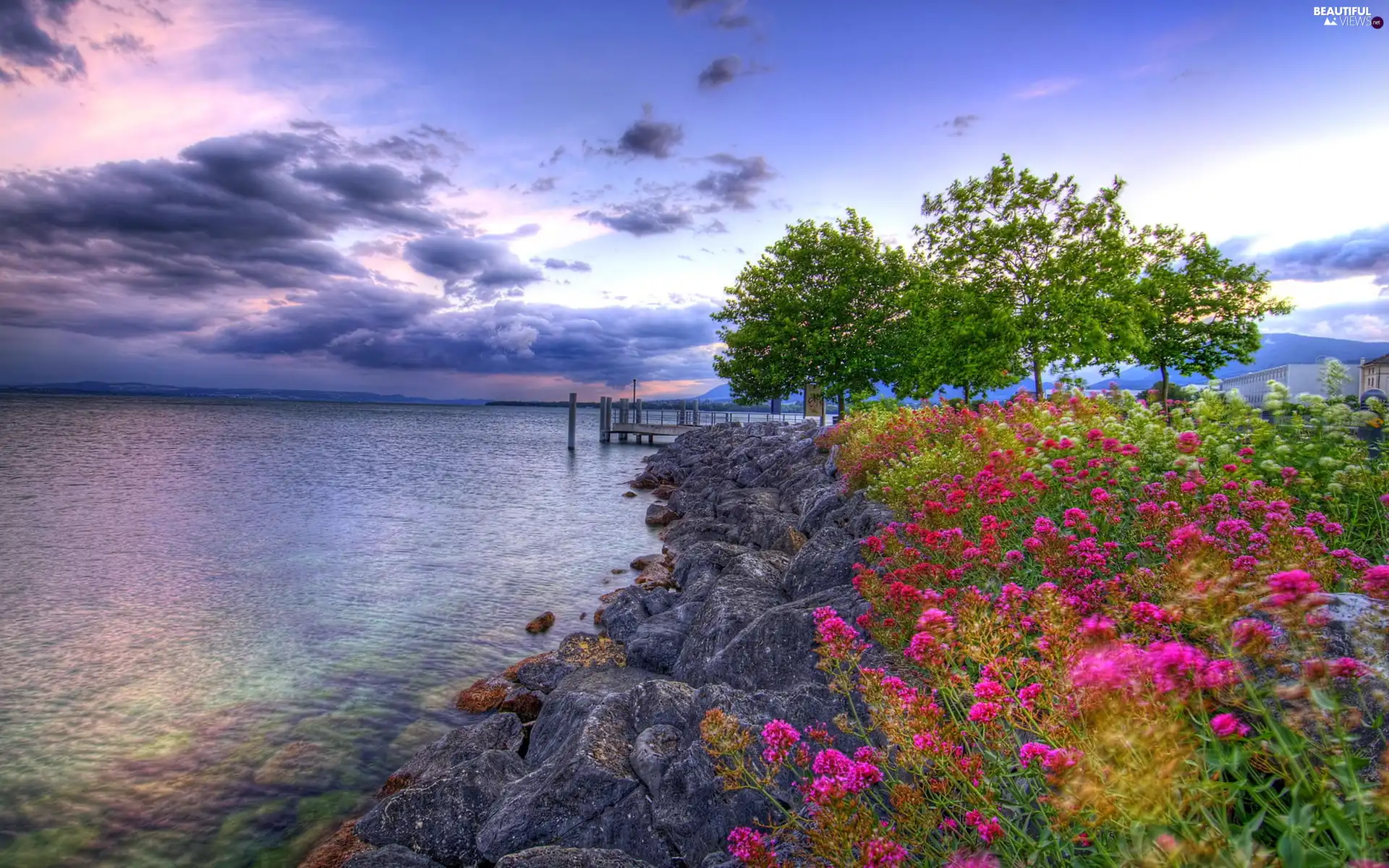 clouds, sea, Flowers