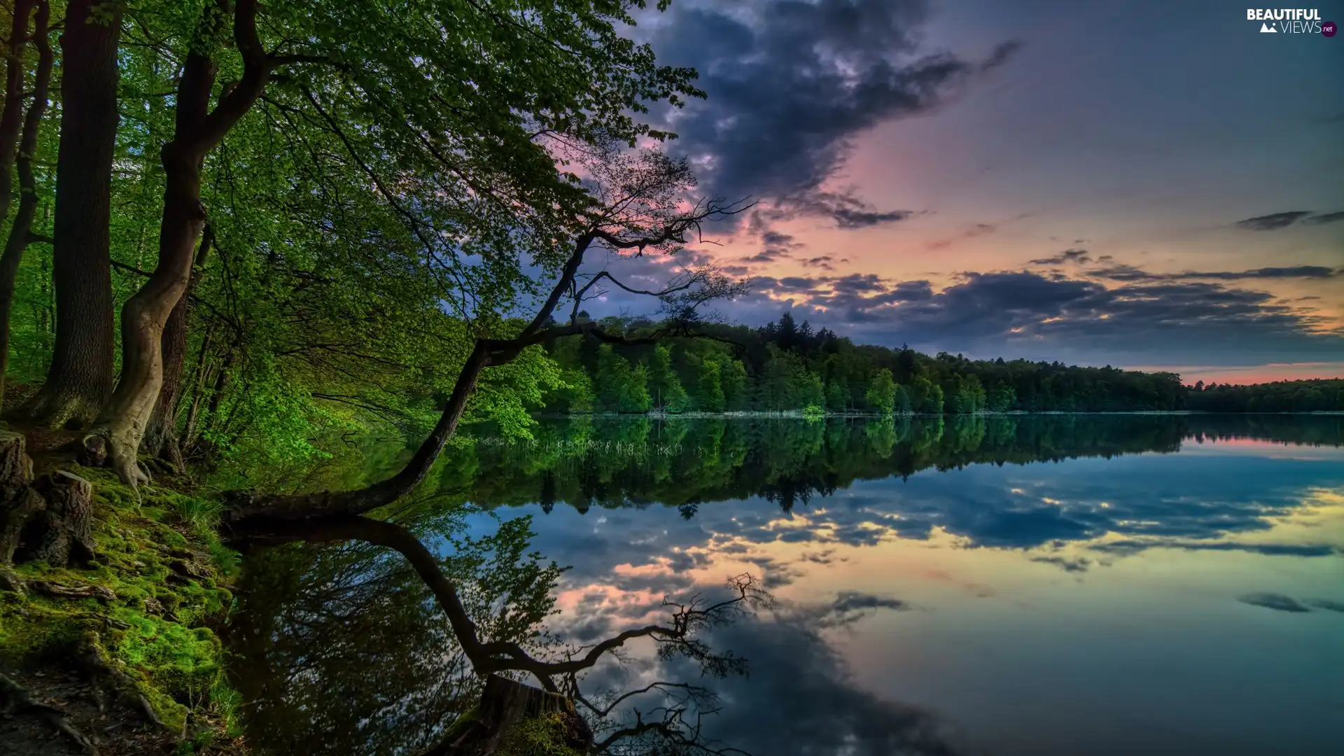 viewes, clouds, forest, trees, lake