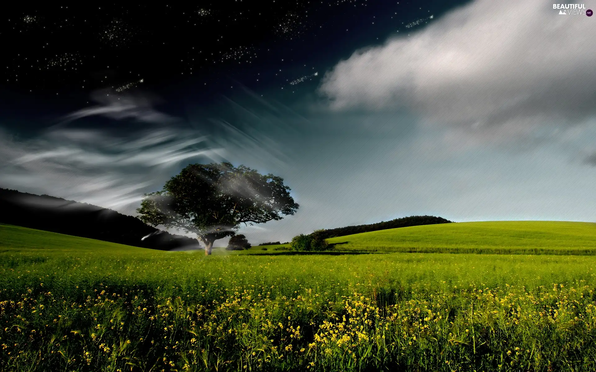 Meadow, Sky, clouds, trees