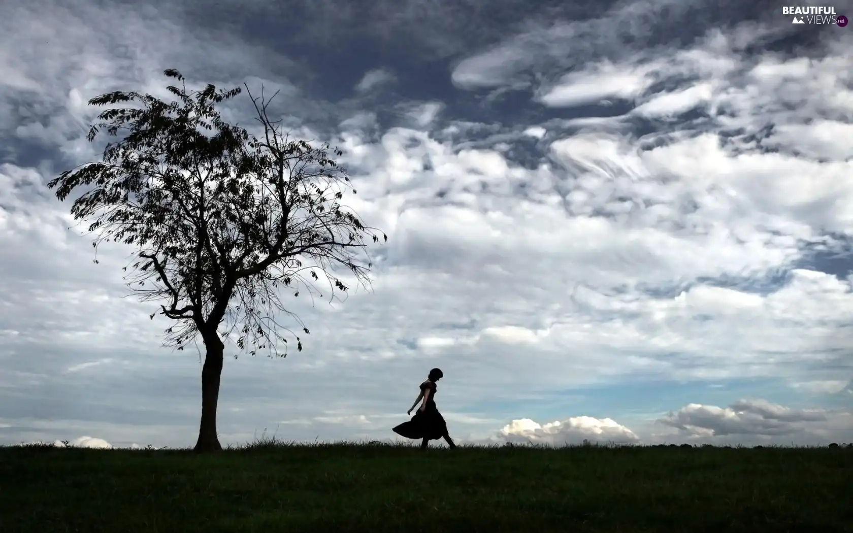 Meadow, trees, clouds, Women