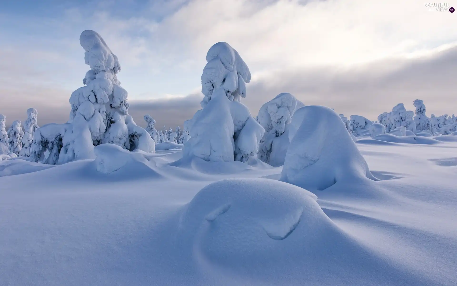 viewes, clouds, snowy, trees, winter