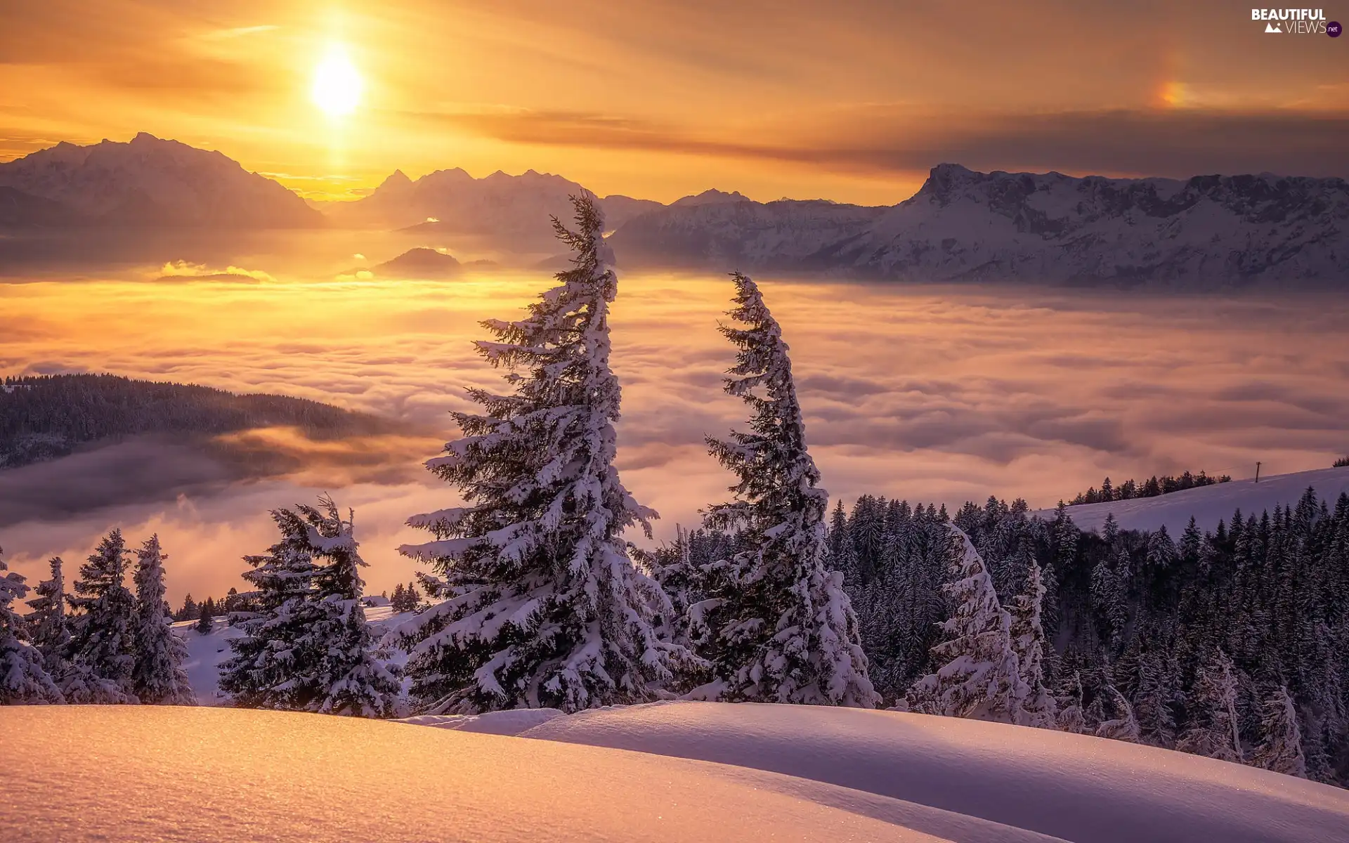 clouds, winter, Fog, snow, Great Sunsets, Mountains, viewes, Spruces, trees