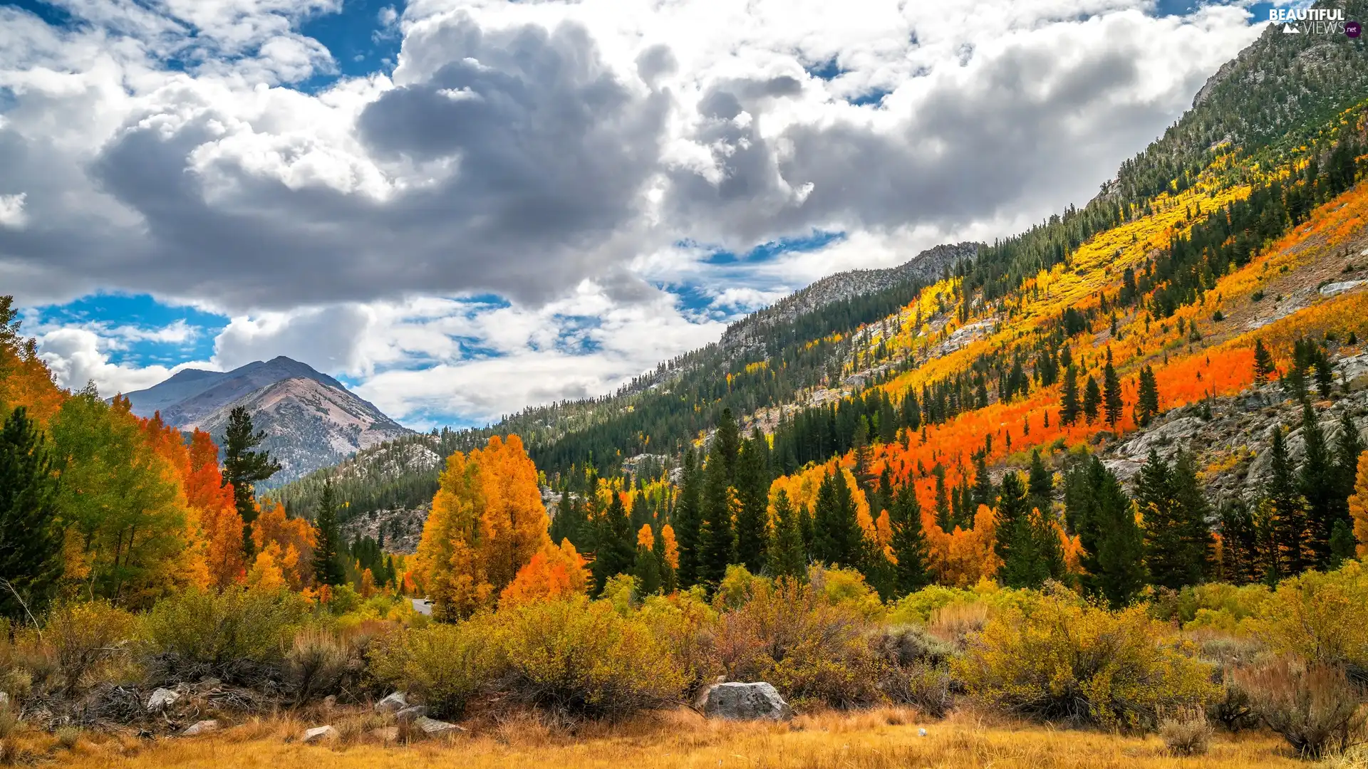 viewes, Mountains, autumn, clouds, woods, trees