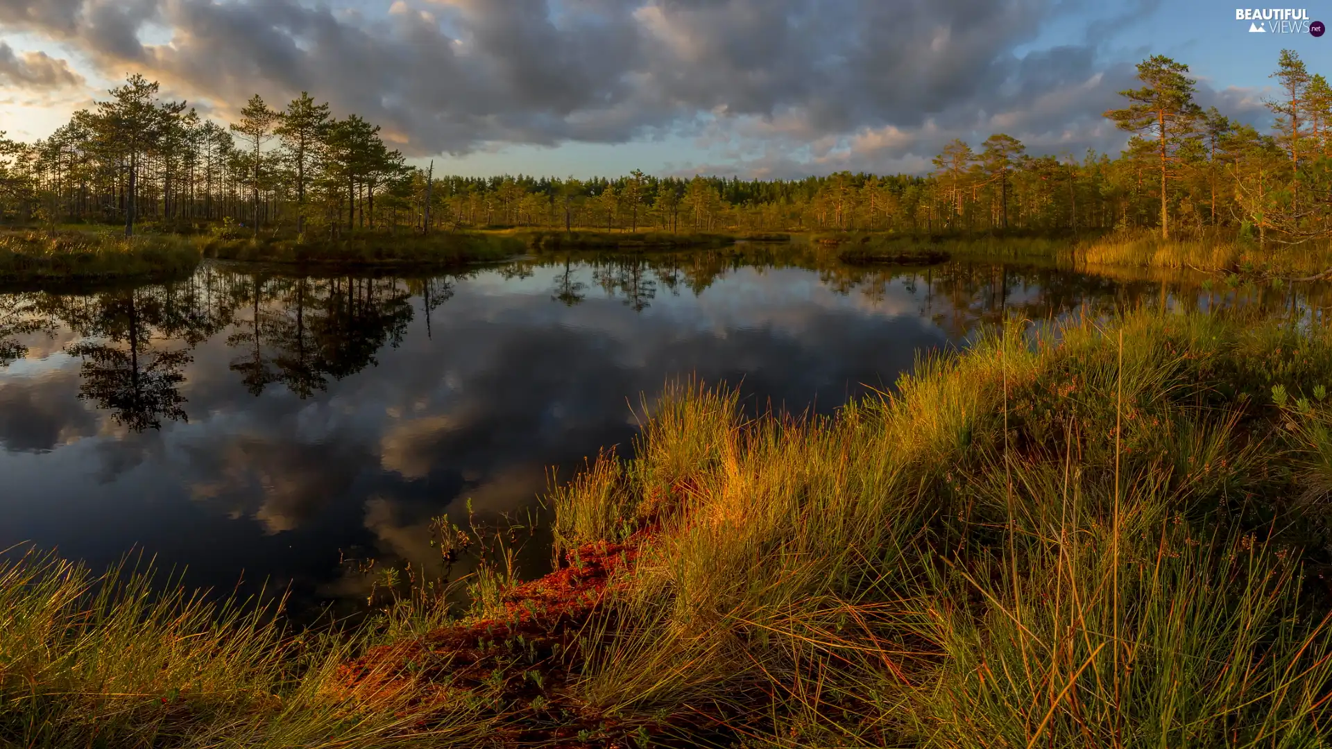 viewes, lake, grass, clouds, reflection, trees