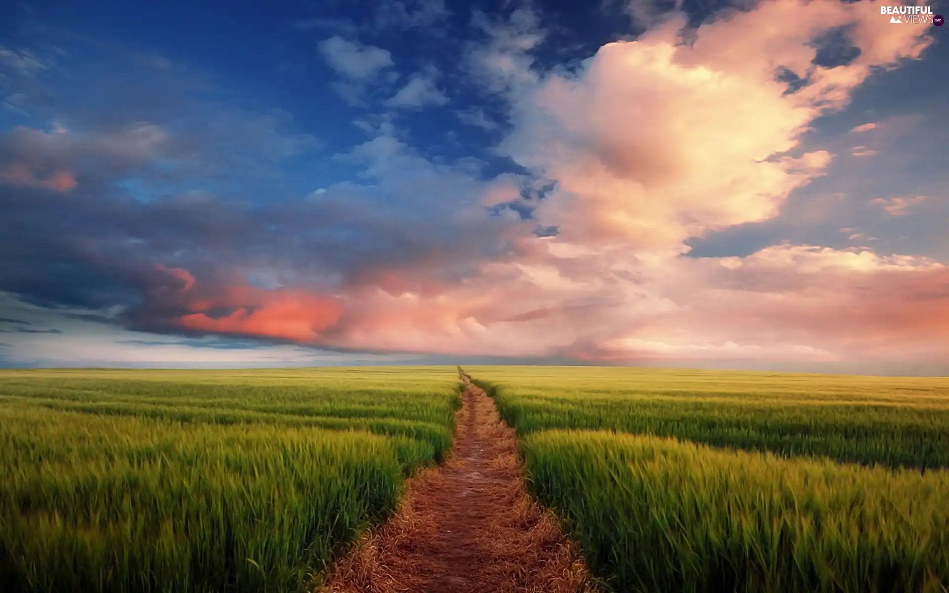 clouds, grass, Way