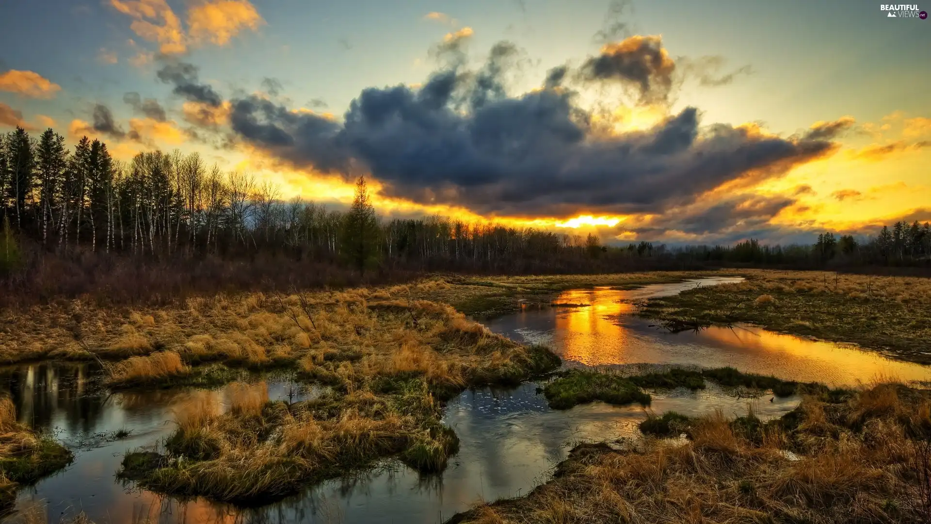 west, forest, clouds, sun