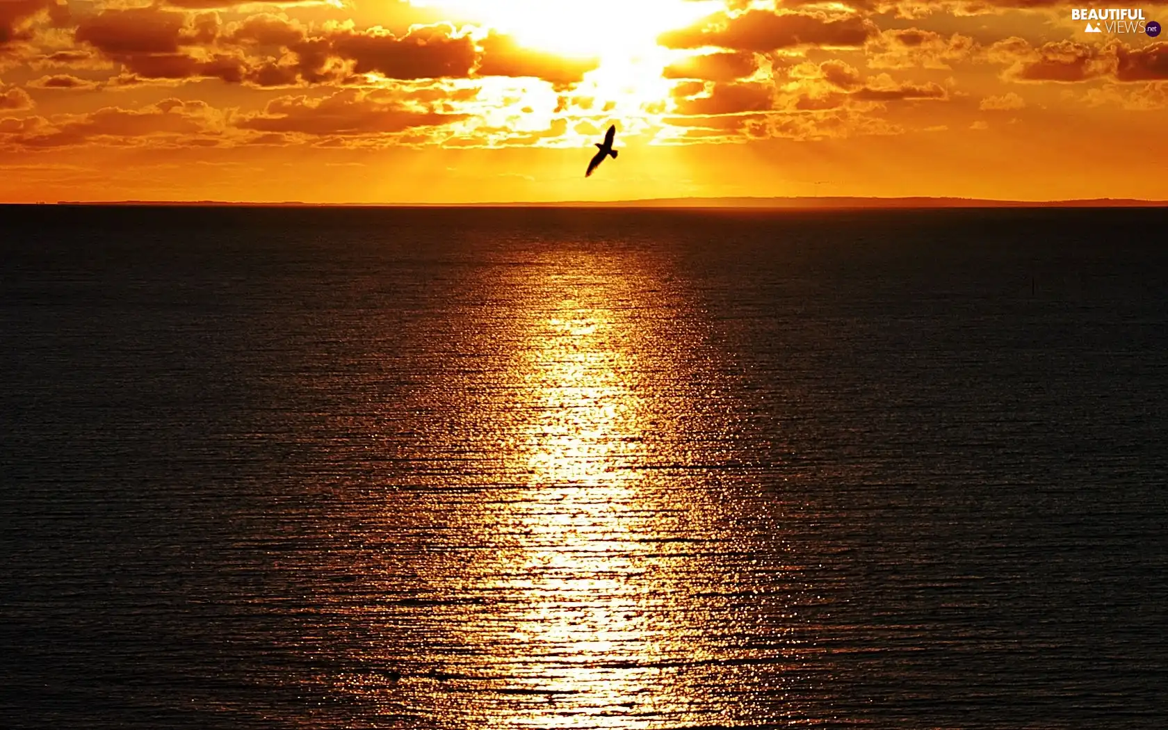 west, sea, clouds, sun