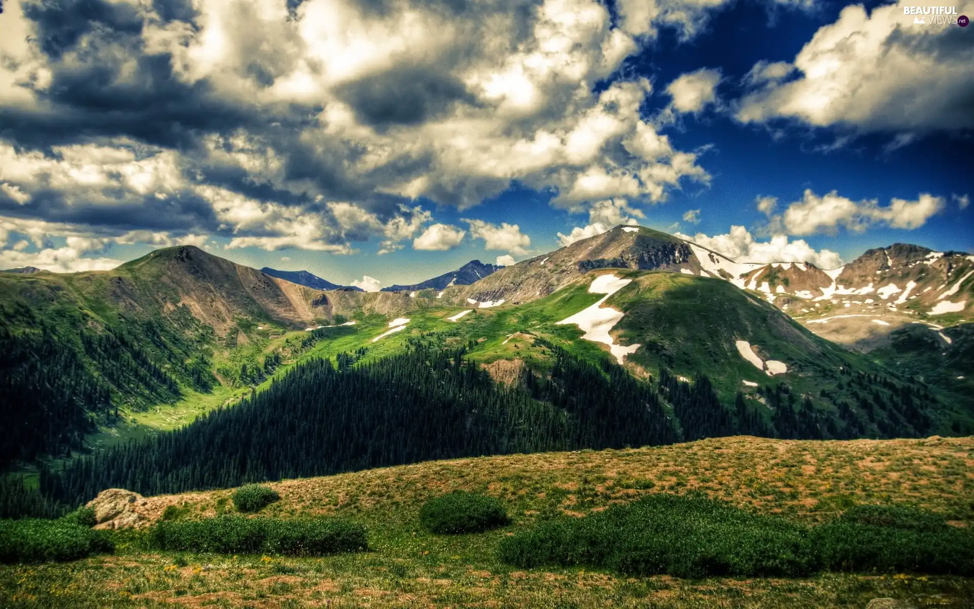 cloudy, Sky, trees, viewes, The Hills