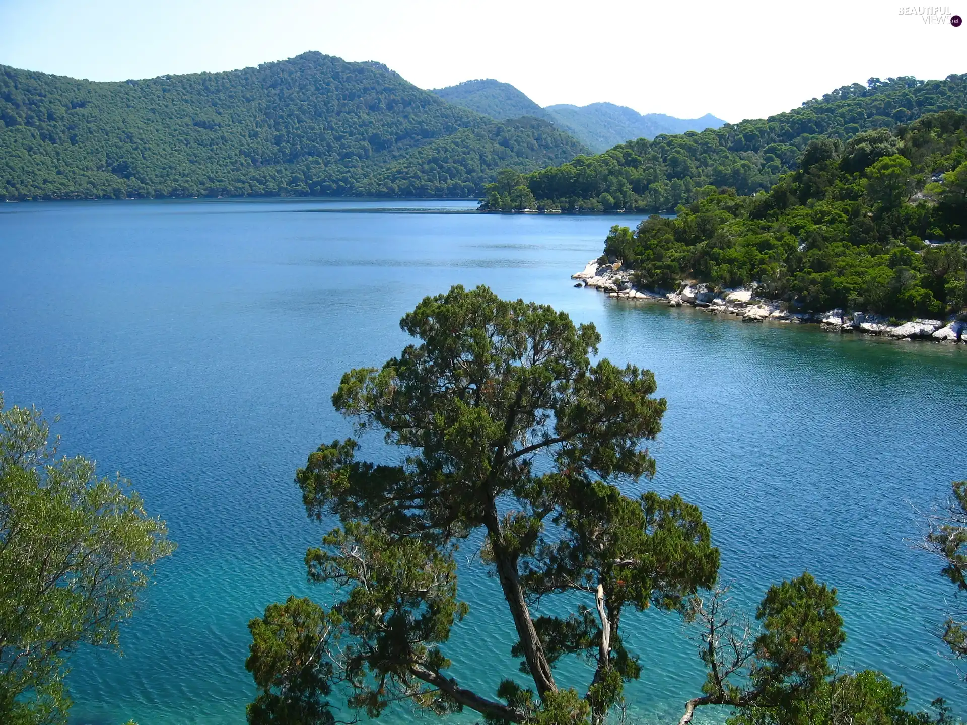 lake, woods, Coartia, Mountains