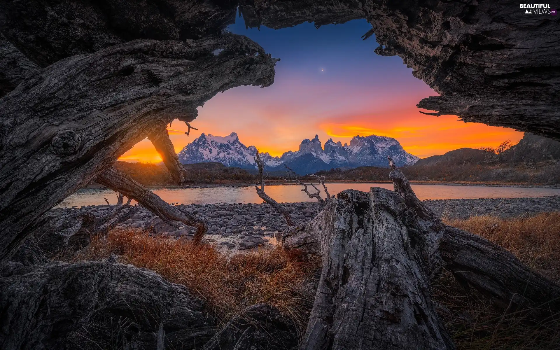 stony, Torres del Paine National Park, coast, River, Patagonia, Chile, rocks, Cordillera del Paine Mountains, trees