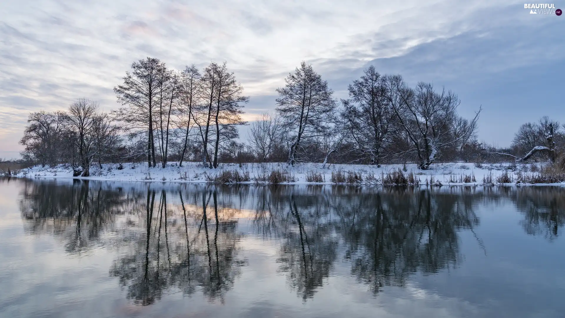 viewes, lake, clouds, reflection, Sky, trees, winter, coast