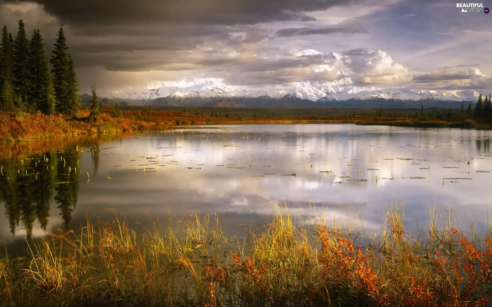 lake, coast