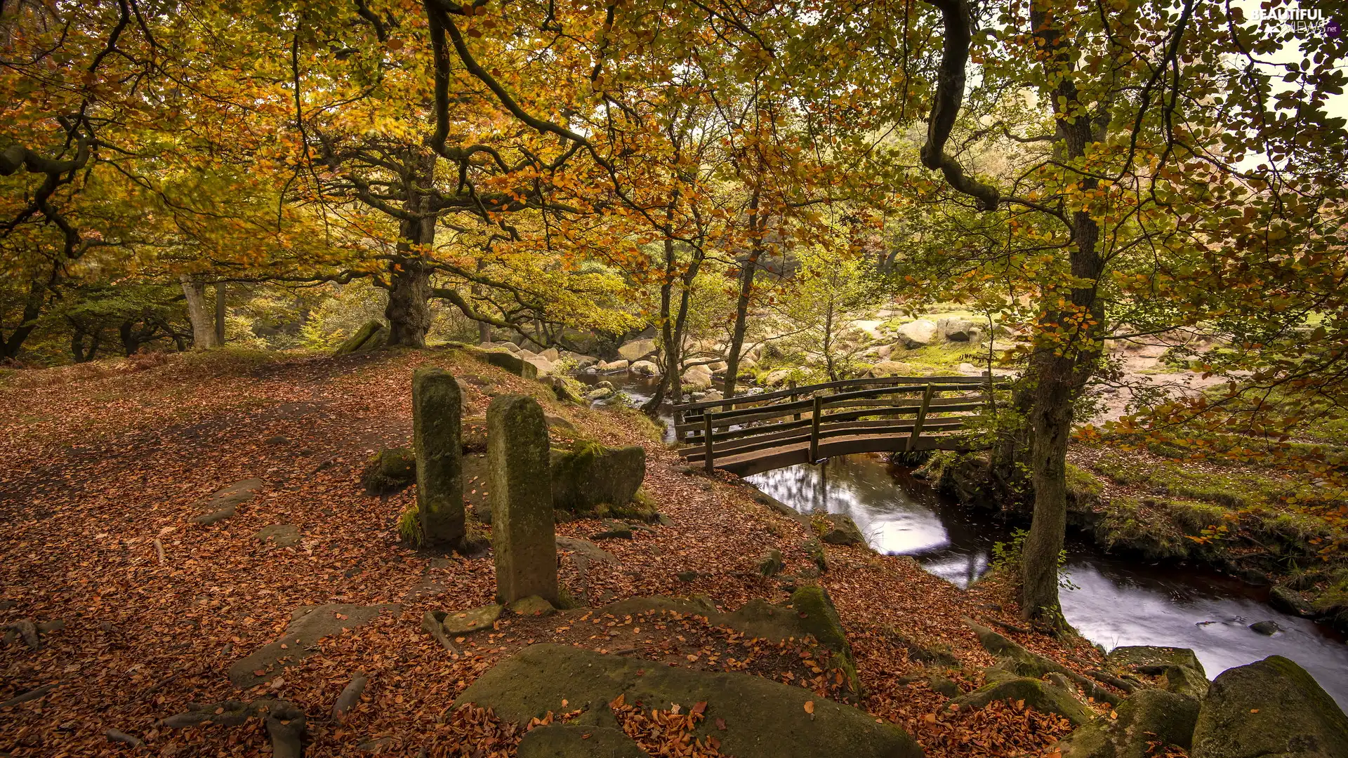 bars, bridges, viewes, concrete, brook, trees, autumn