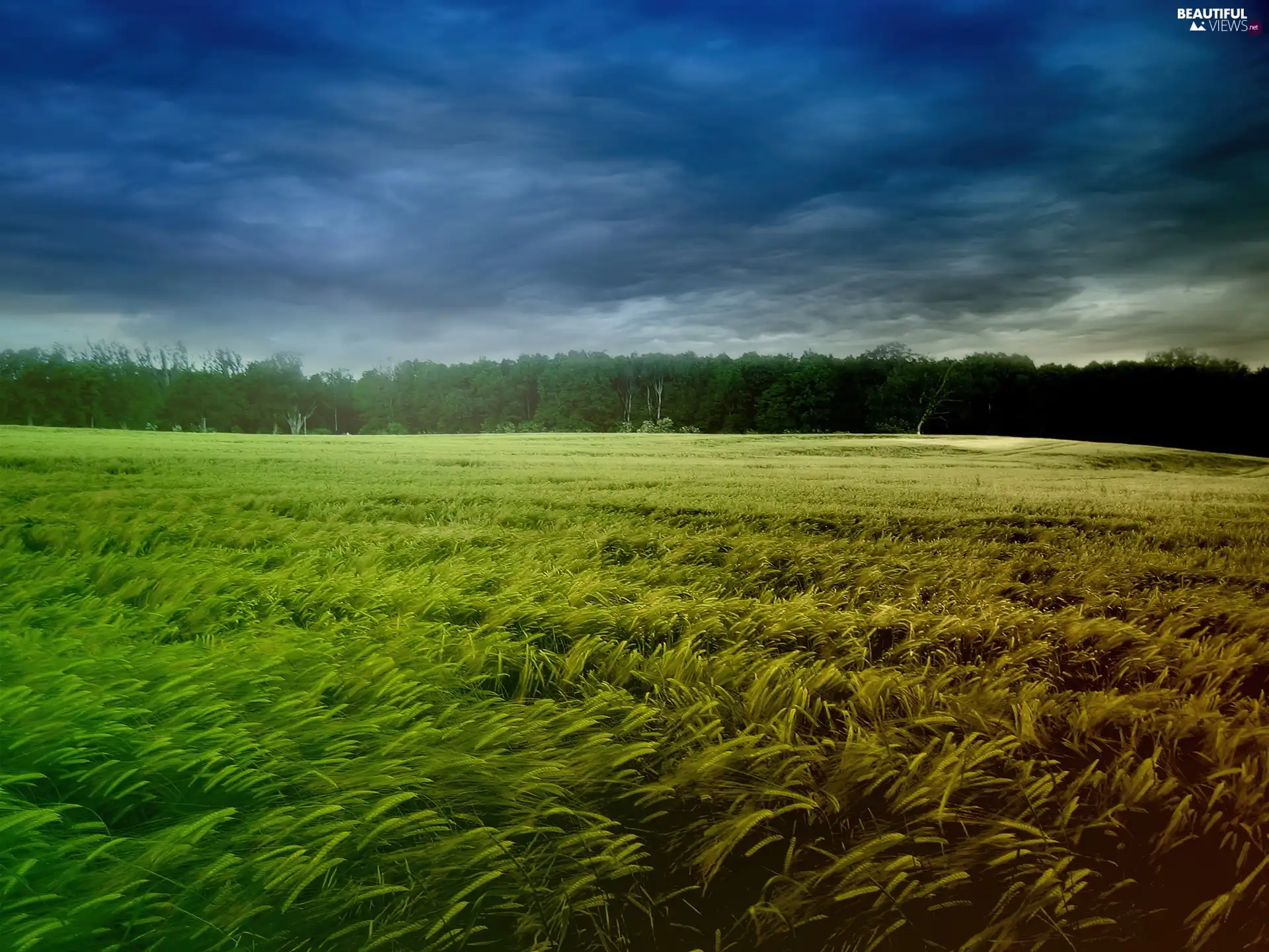 corn, breath, clouds