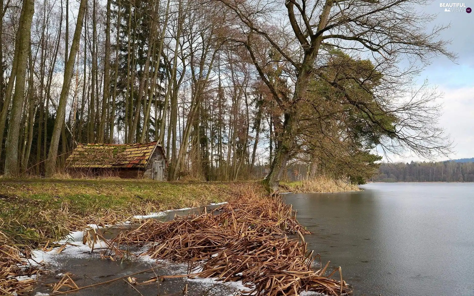 cote, River, woods