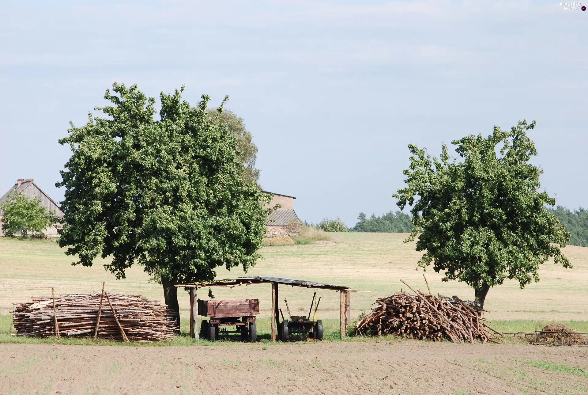 Poland, country