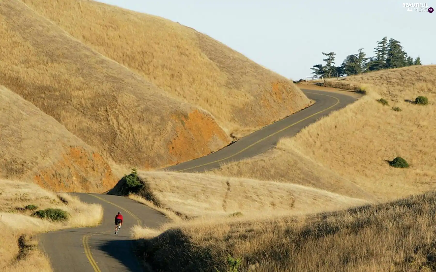 cyclist, Way, hills