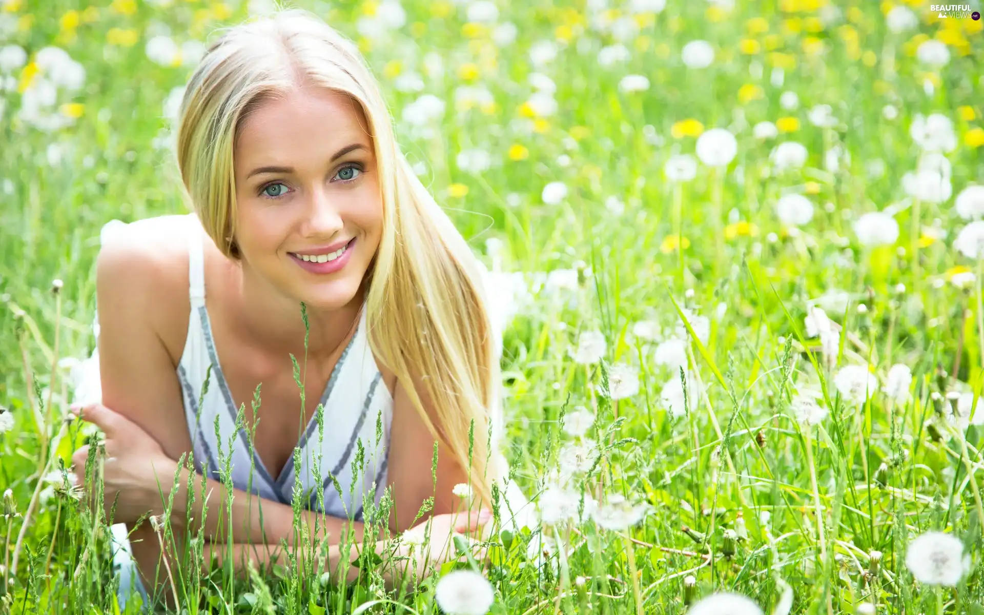 smiling, Meadow, dandelions, Blonde