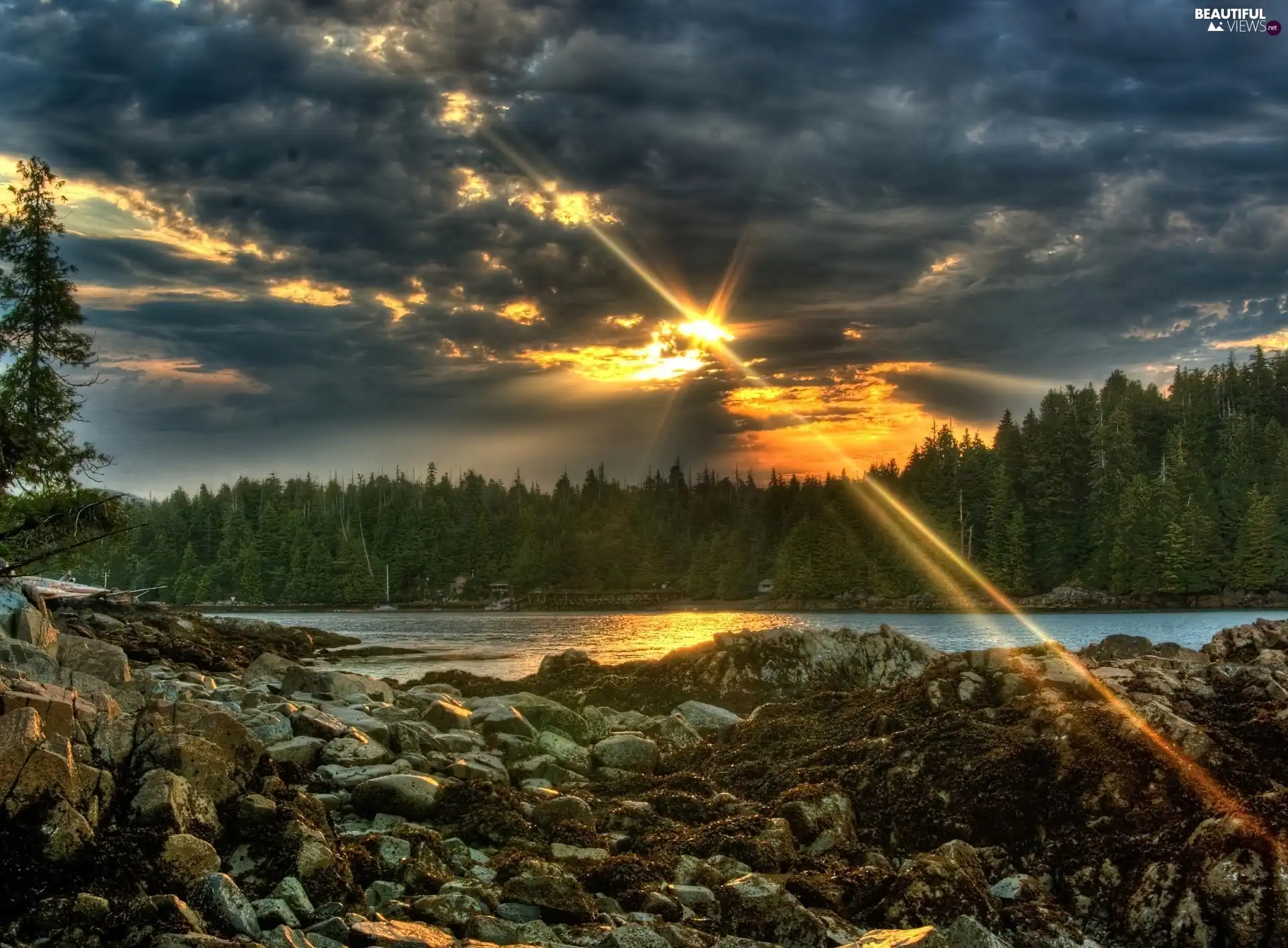 clouds, rays of the Sun, woods, dark, lake