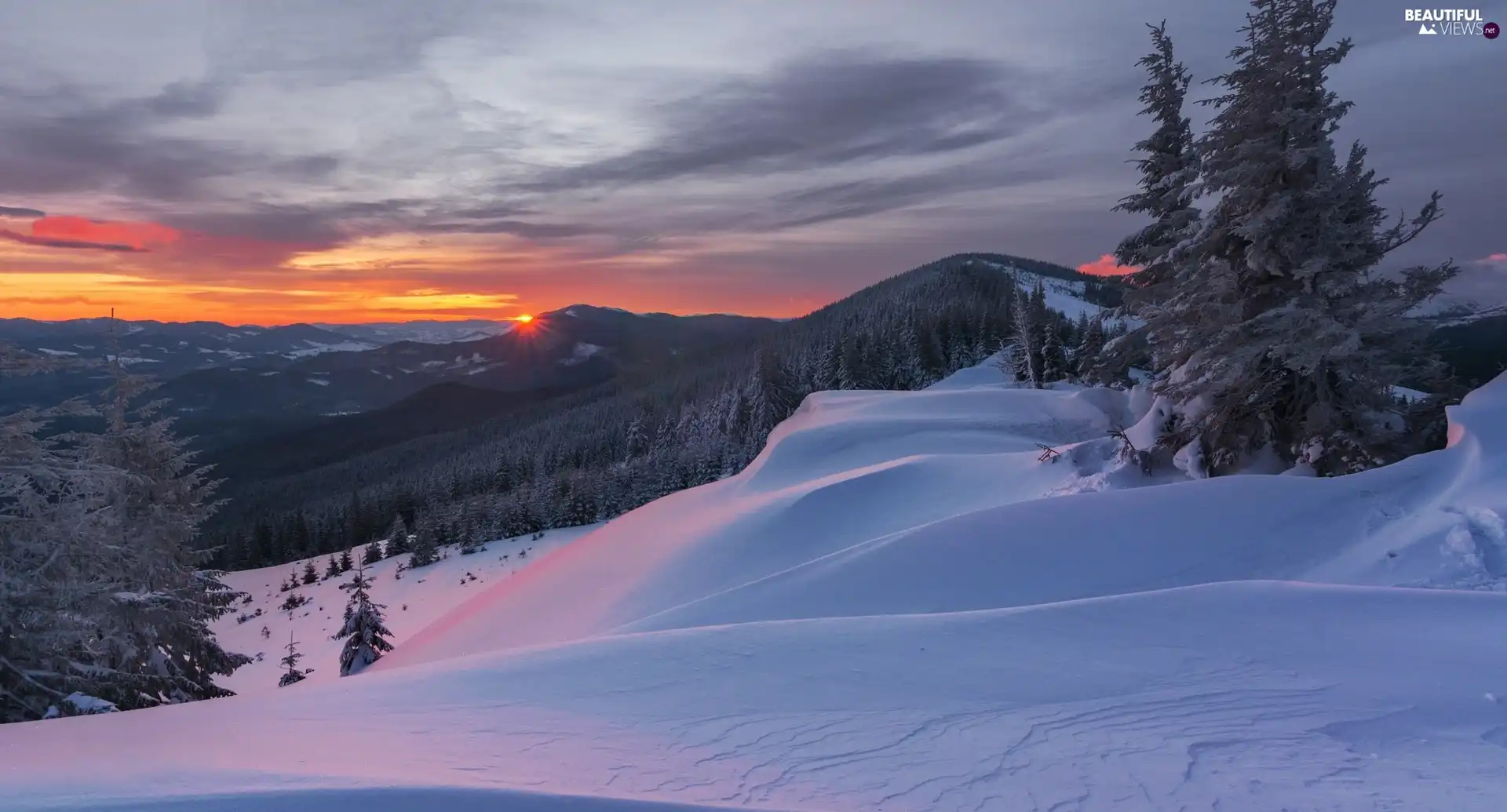 Carpathian Mountains, Ukraine, winter, Kukul Mountain, dawn, Sunrise, trees, viewes, woods