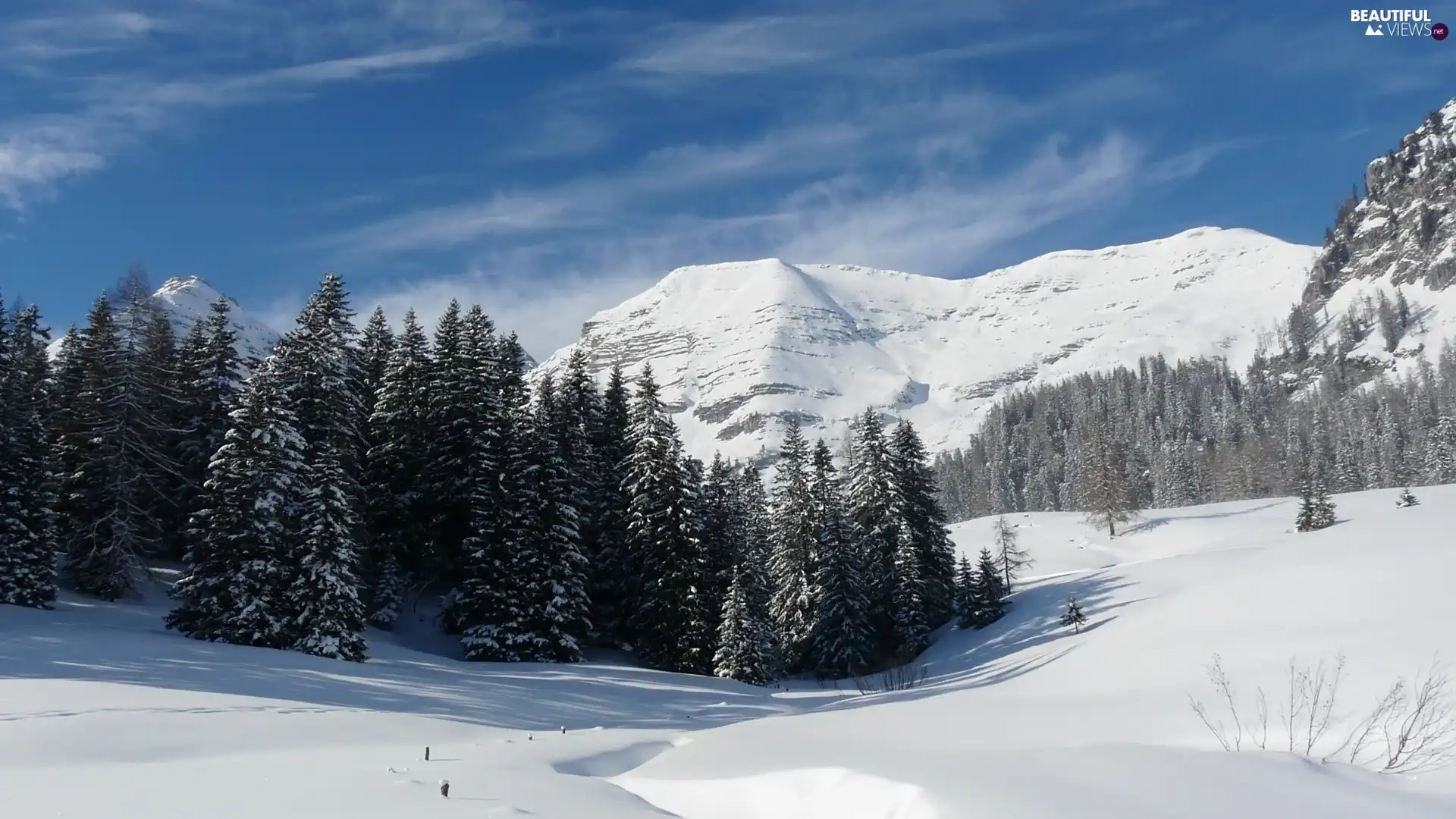 drifts, forest, height, snow, Mountains