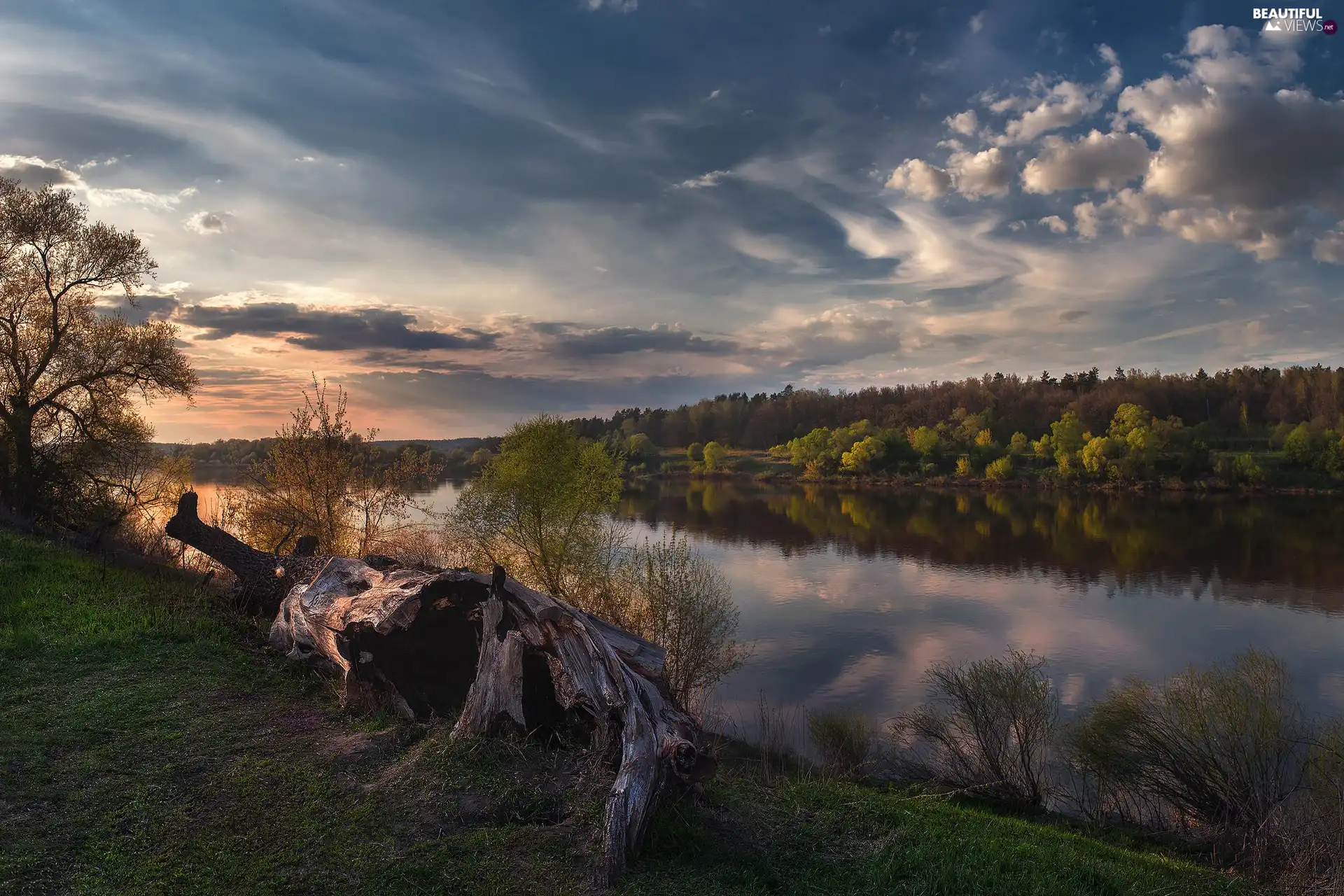 trees, Great Sunsets, dry, trunk, viewes, River