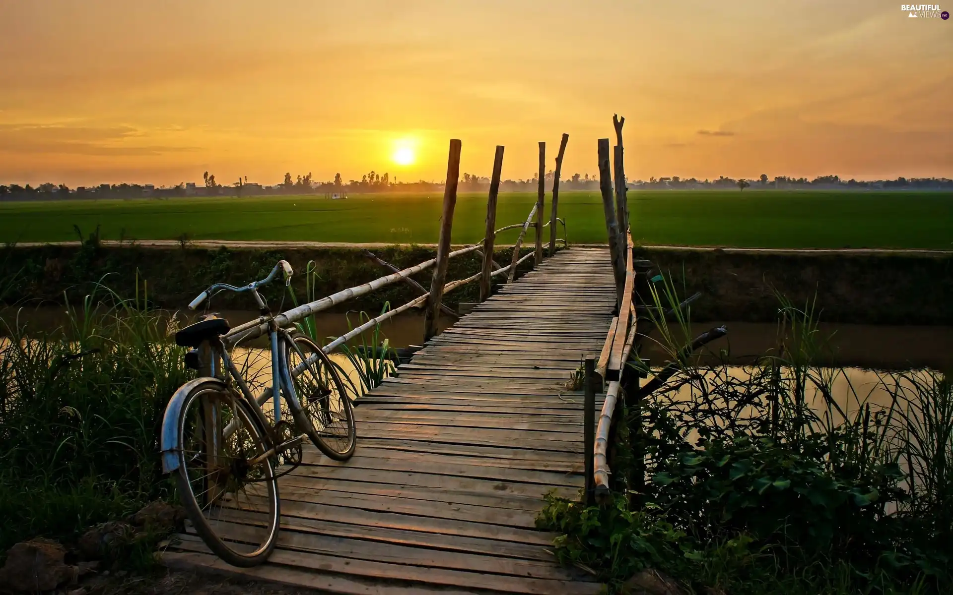 Bike, brook, east, sun, medows, footbridge