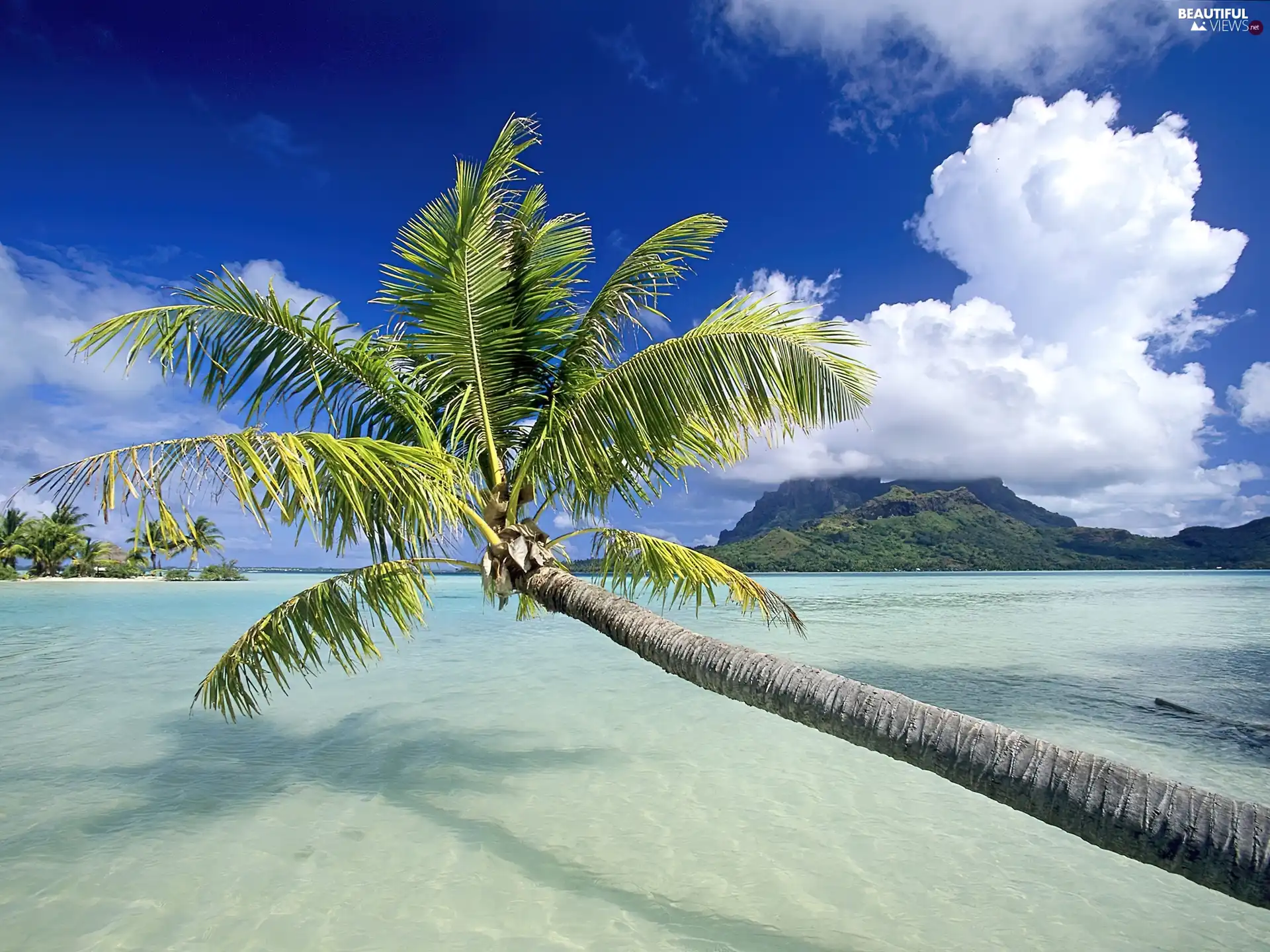 exotic, room, sea, Palm, Sky