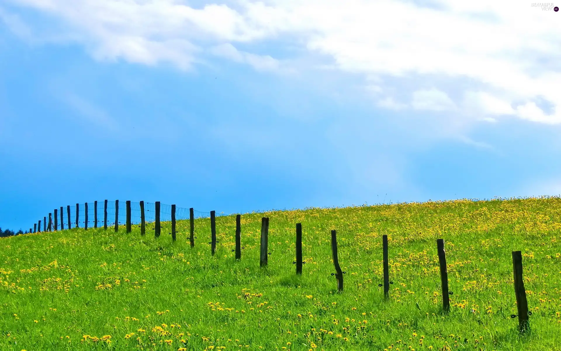 Fance, Field, Sky