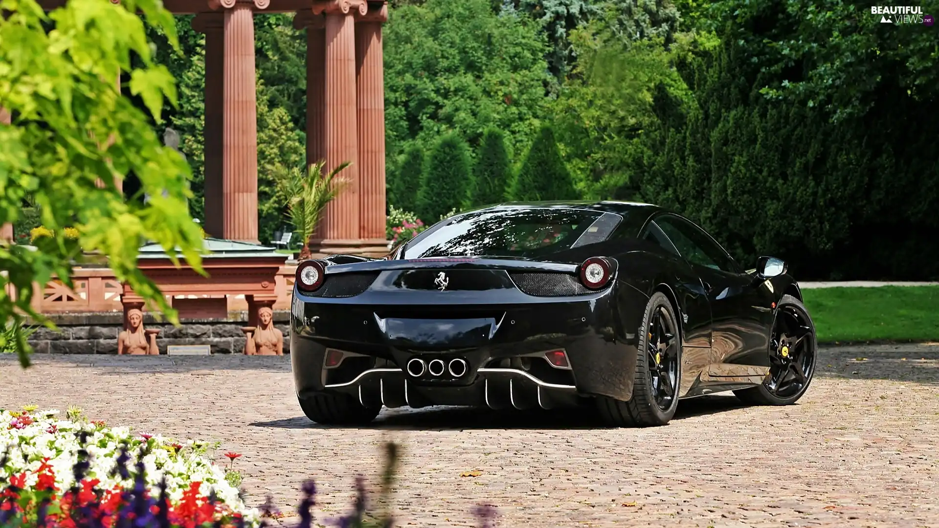 Ferrari 458, Sport, Park, Black, summer