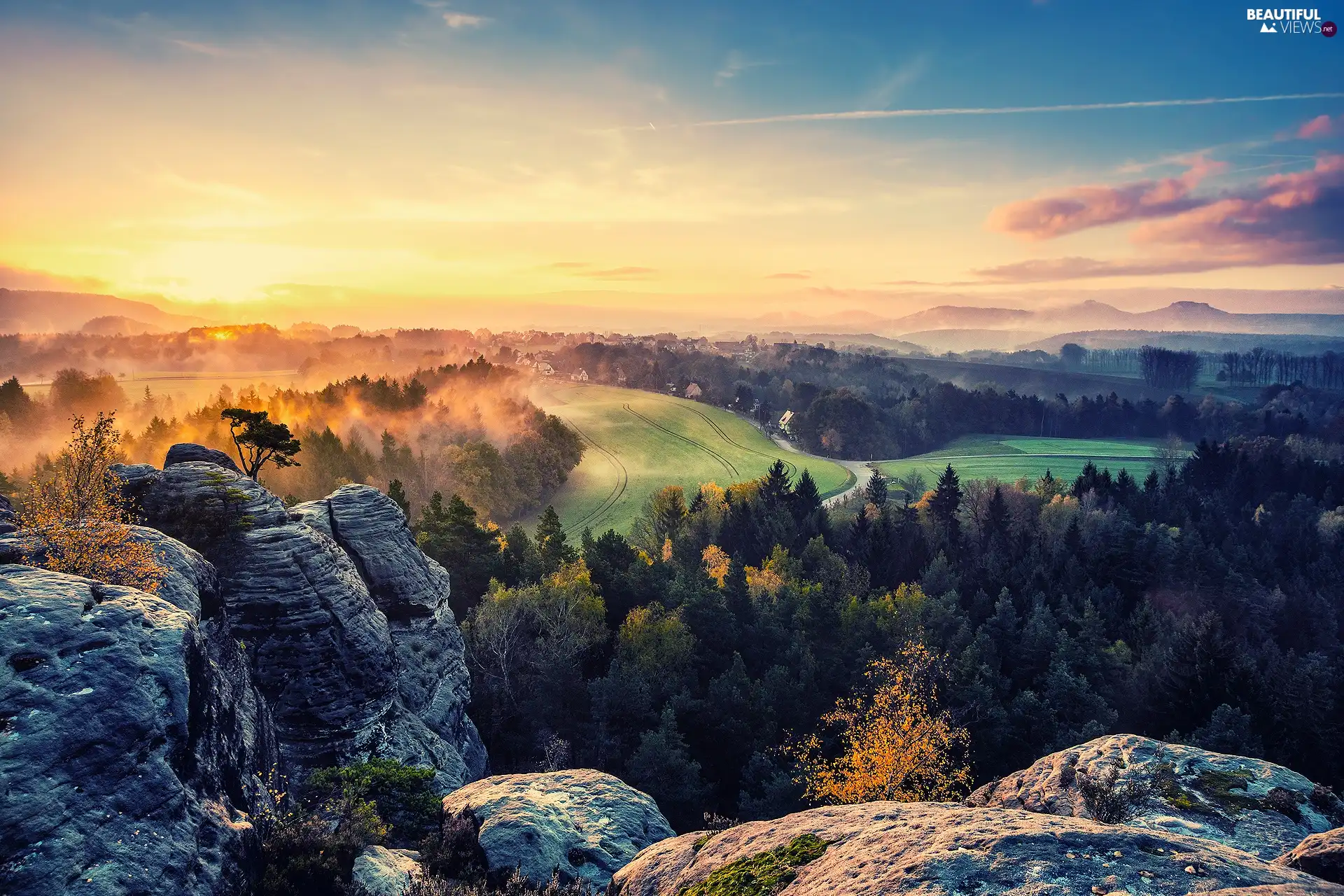 west, forest, field, sun