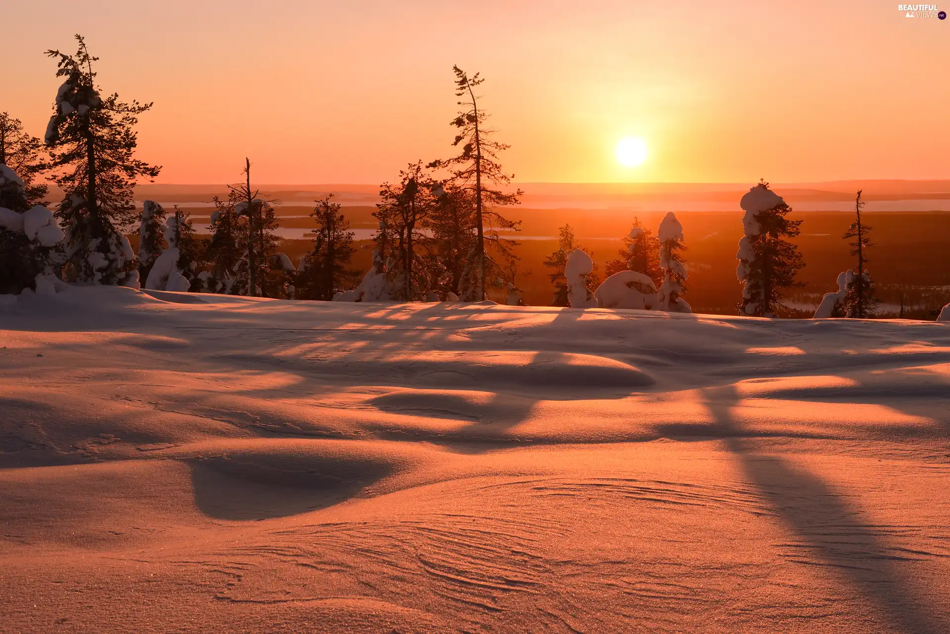 snow, Sunrise, viewes, Finland, trees, winter