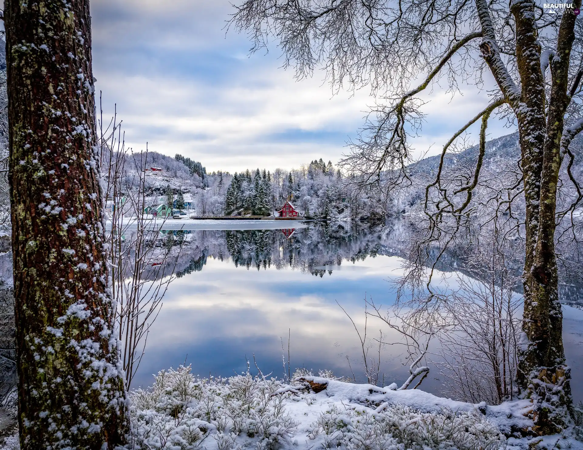 District of Sogn og Fjordane, Norway, Fjaler Commune, Flekke Village, viewes, Houses, Dalsfjorden Fjord, trees, winter