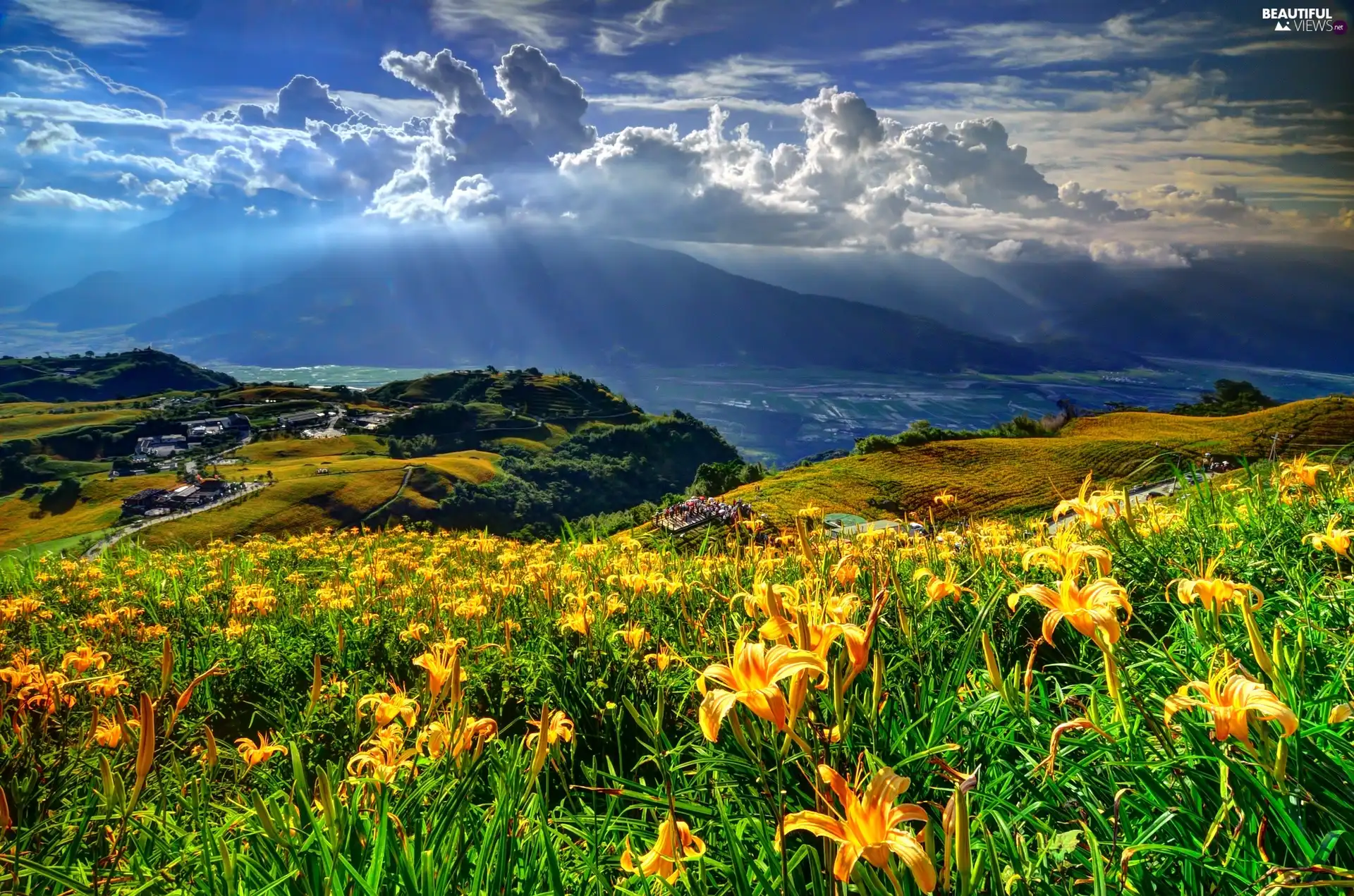 Flowers, Mountains, clouds