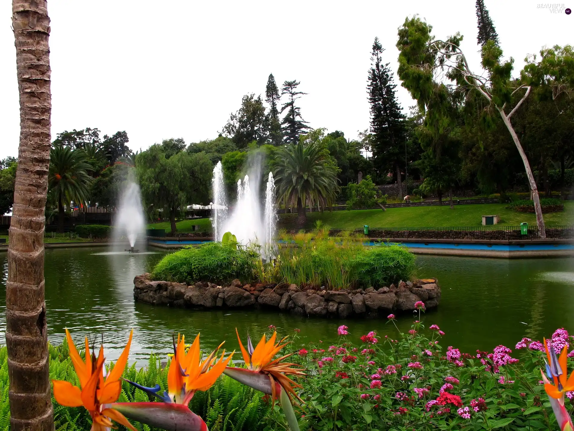 Flowers, Park, Fountains