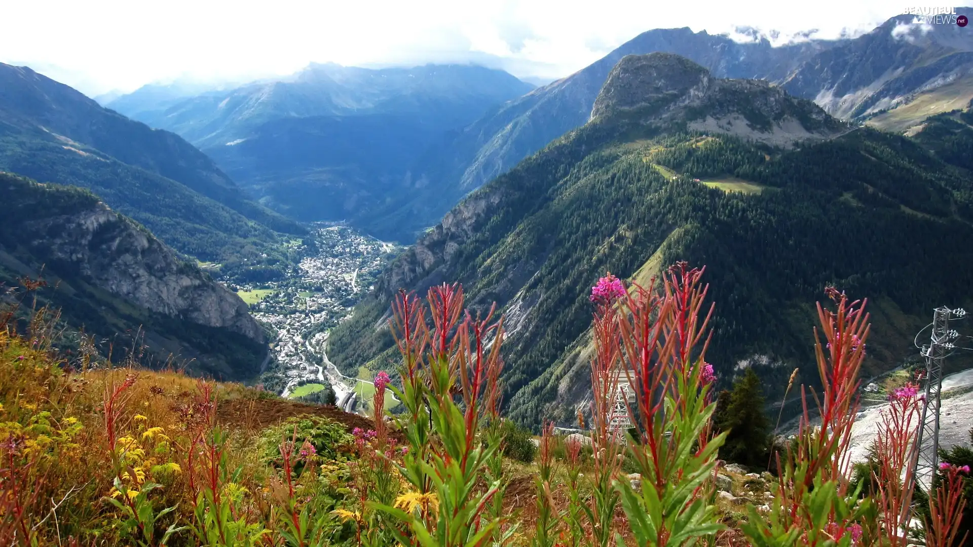 Mountains, Flowers