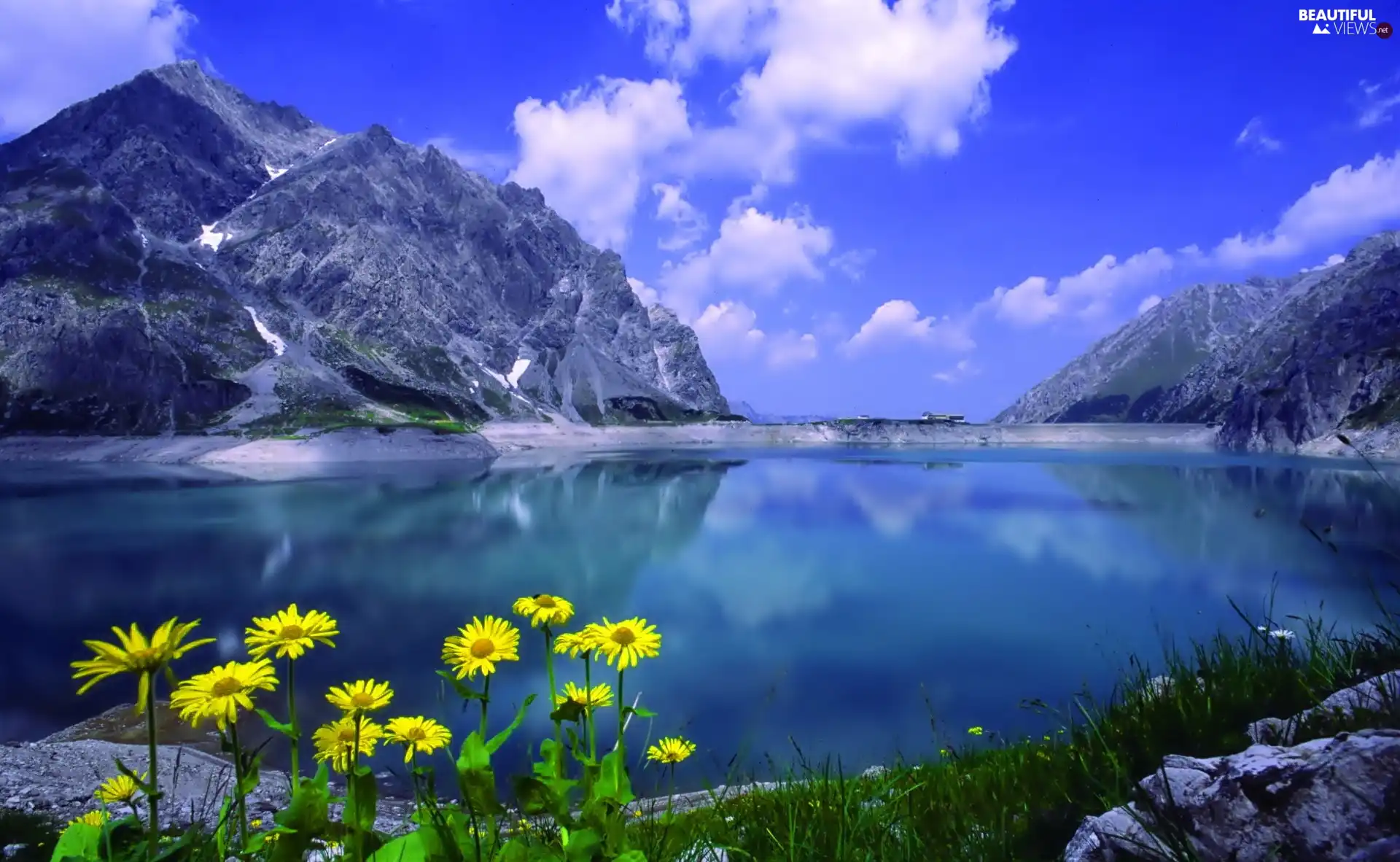 Mountains, rocks, Flowers, lake