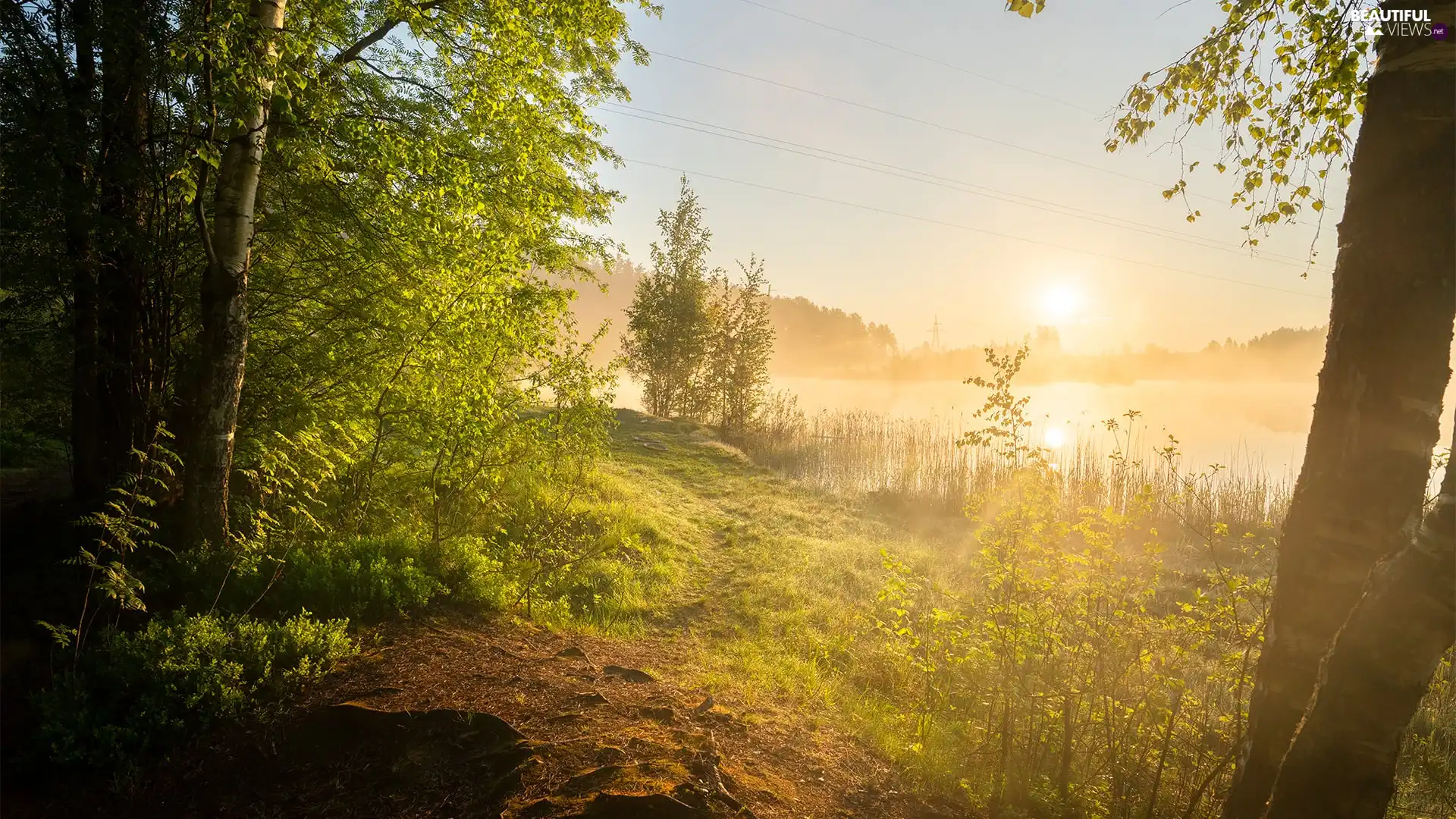 trees, lake, Sunrise, Fog, viewes, forest