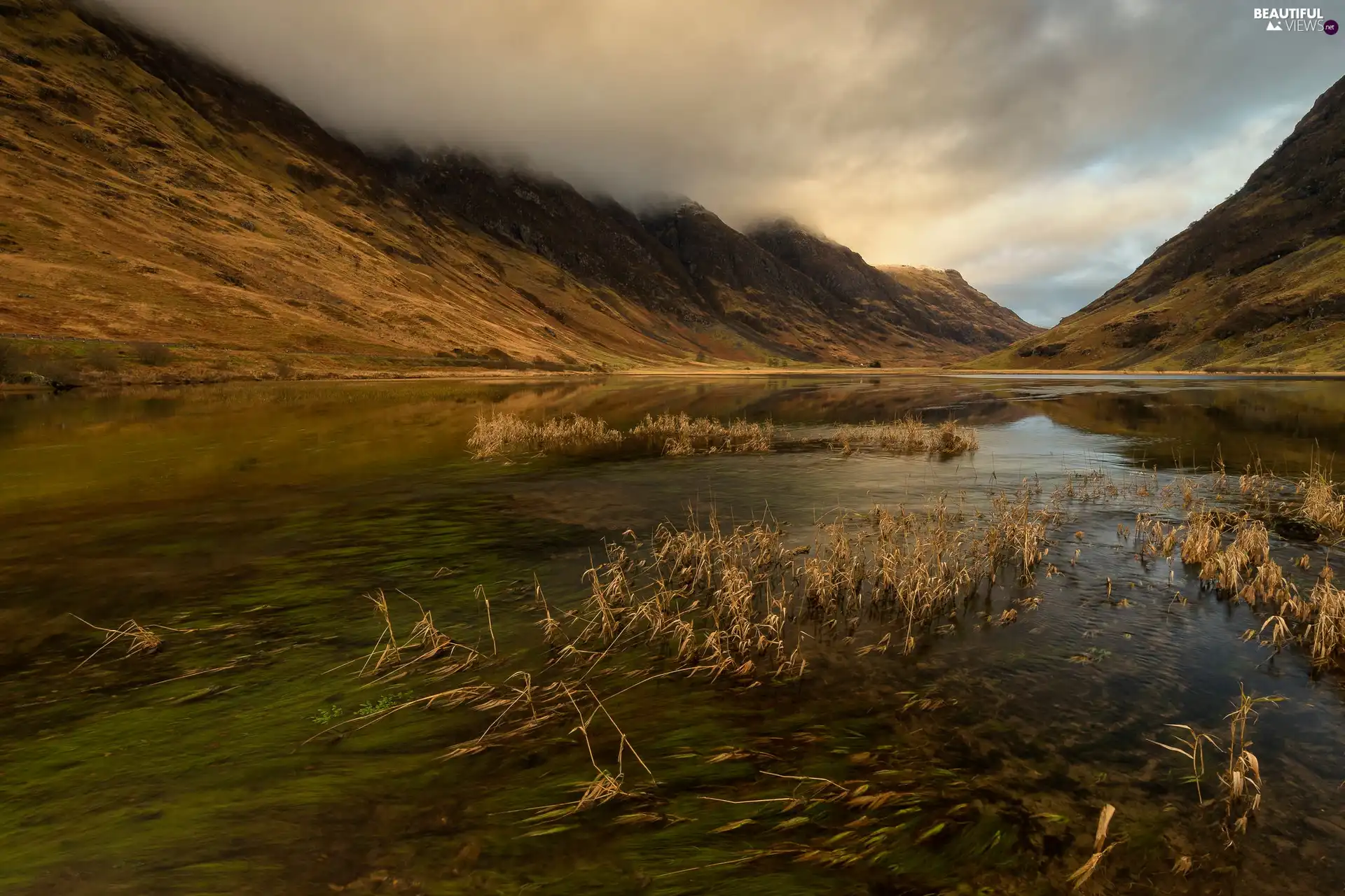 Mountains, Fog, grass, Plants, lake