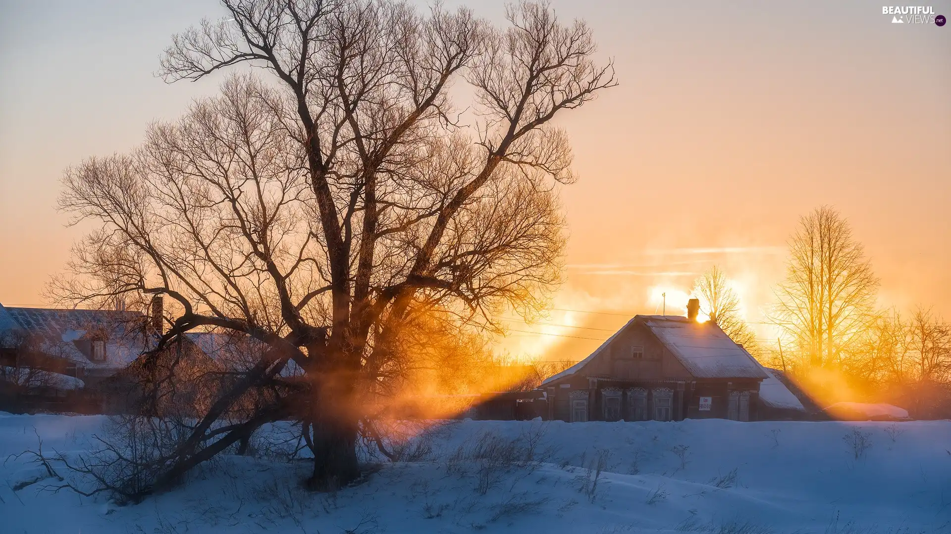 trees, winter, Sunrise, Fog, viewes, Houses