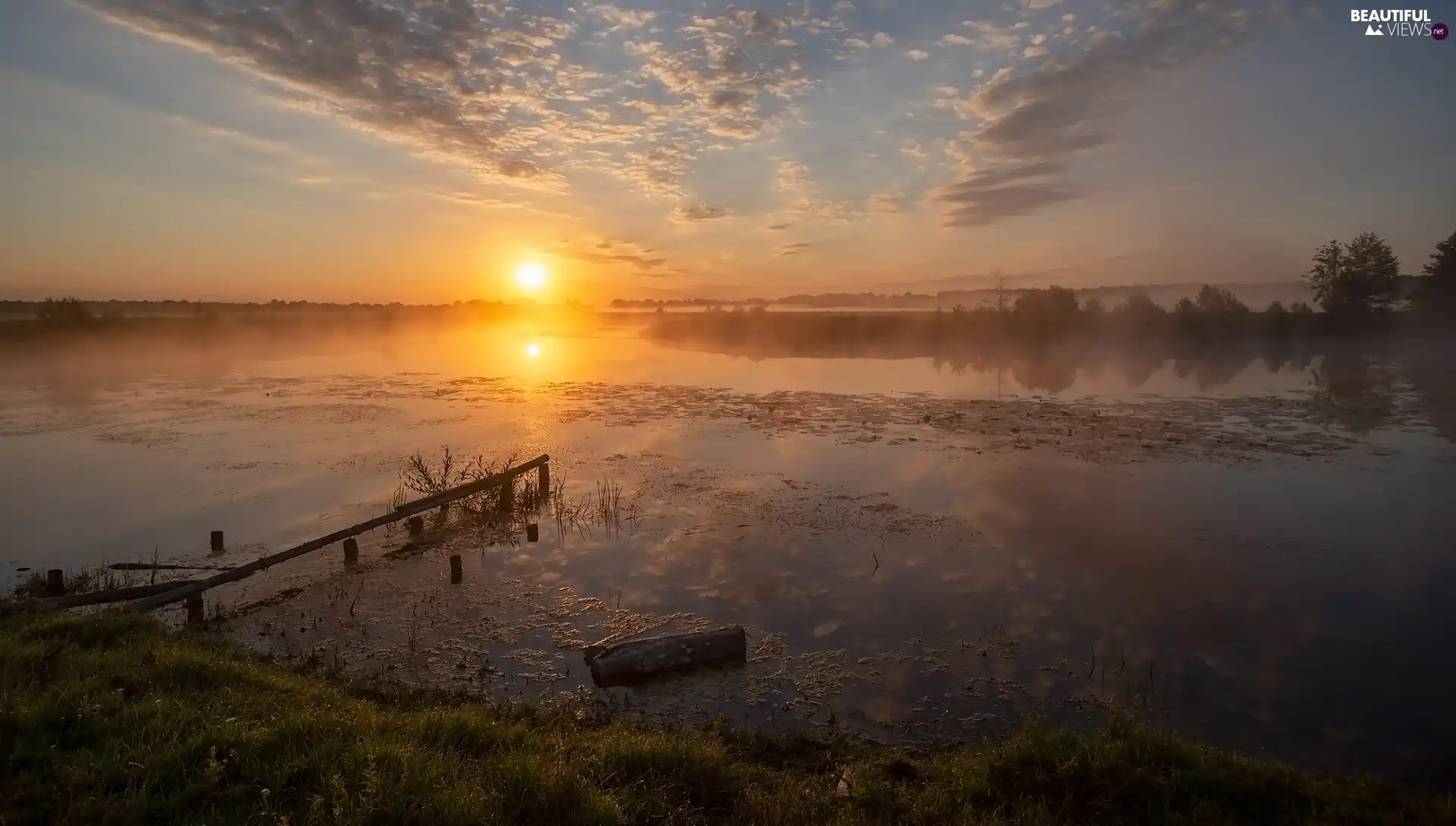 trees, clouds, lake, Fog, viewes, Great Sunsets