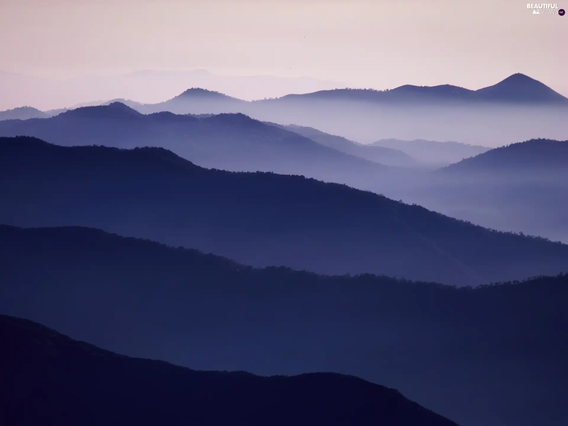 purple, woods, Fog, Mountains