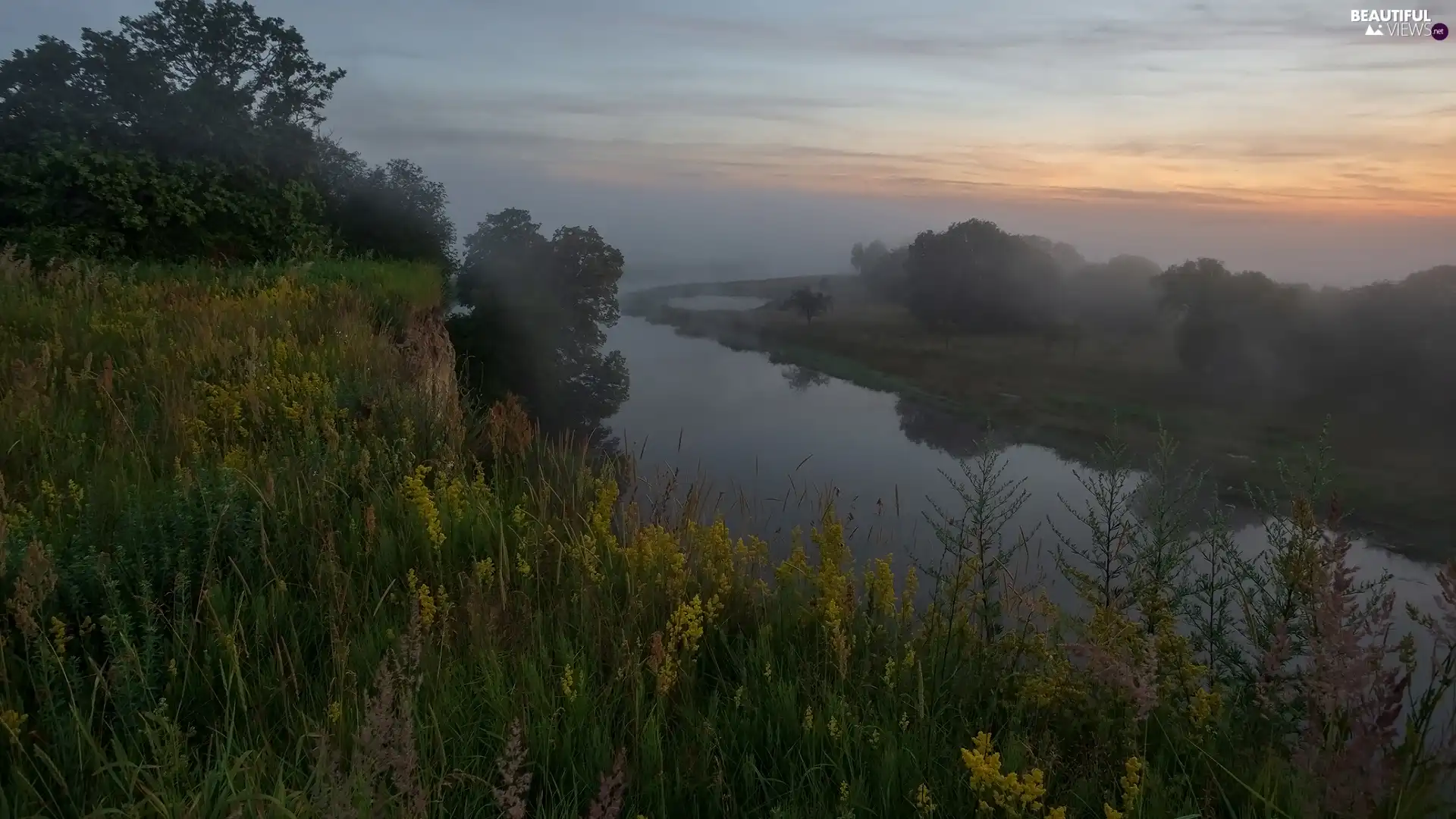 trees, River, grass, Fog, viewes, scarp