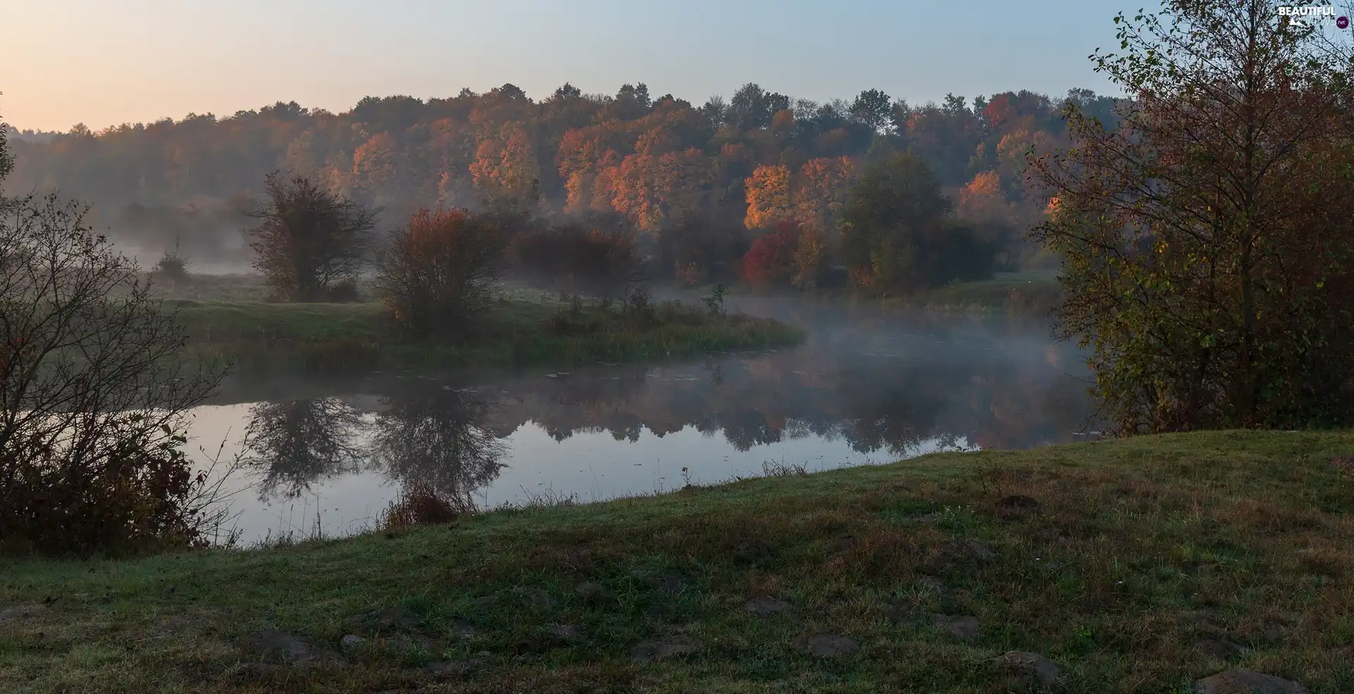 autumn, Fog, trees, viewes, River