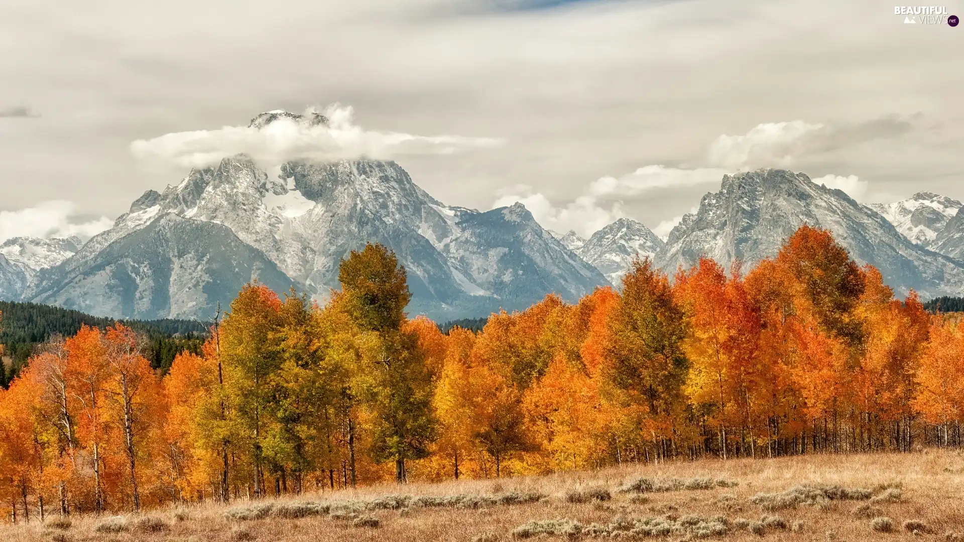 autumn, clouds, forest, Mountains