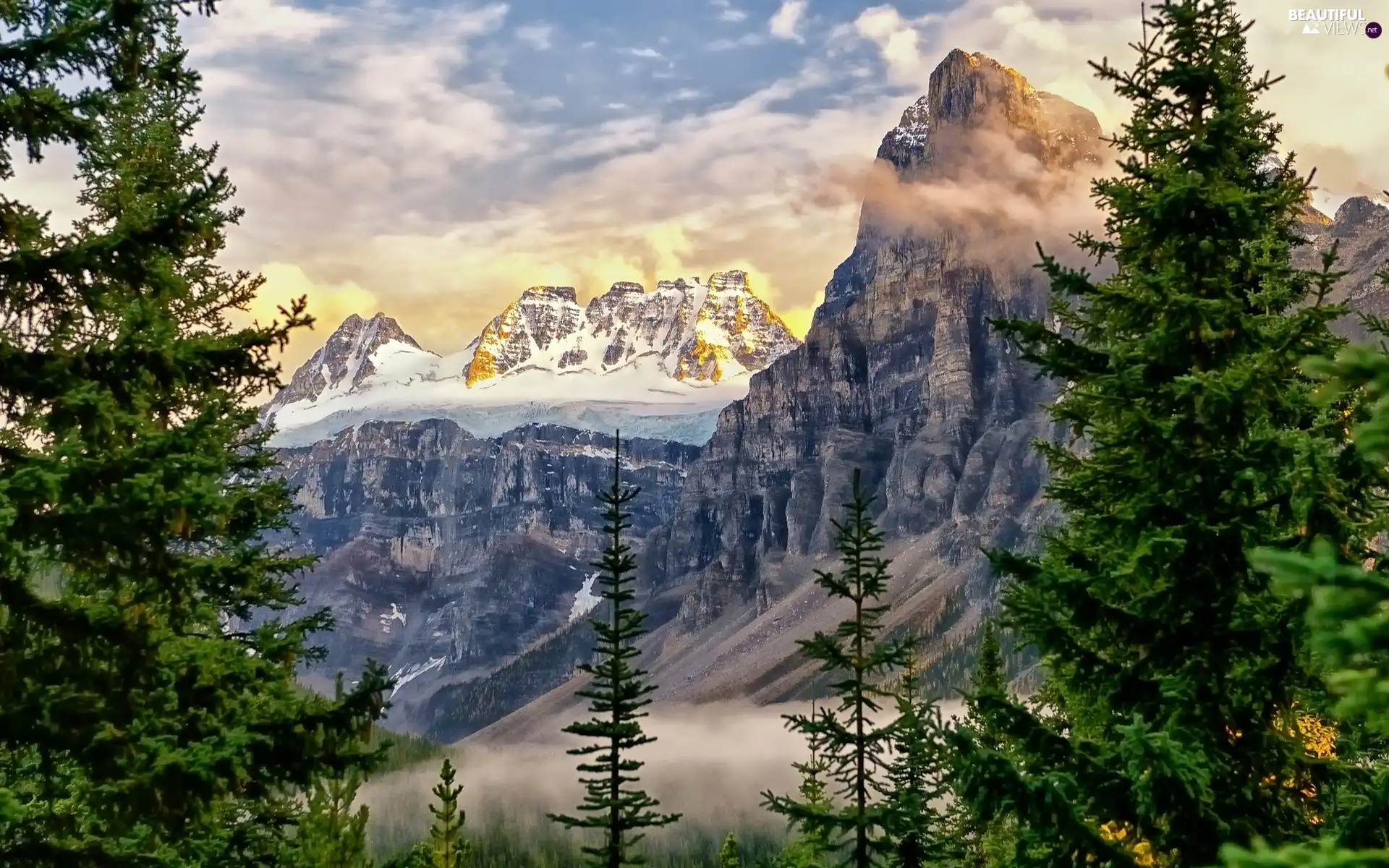 forest, Mountains, clouds